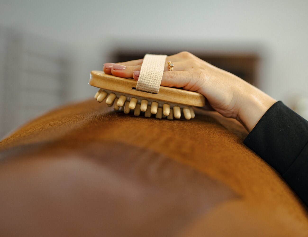 https://www.hogstaonline.com/pub_docs/files/massage_borste.png