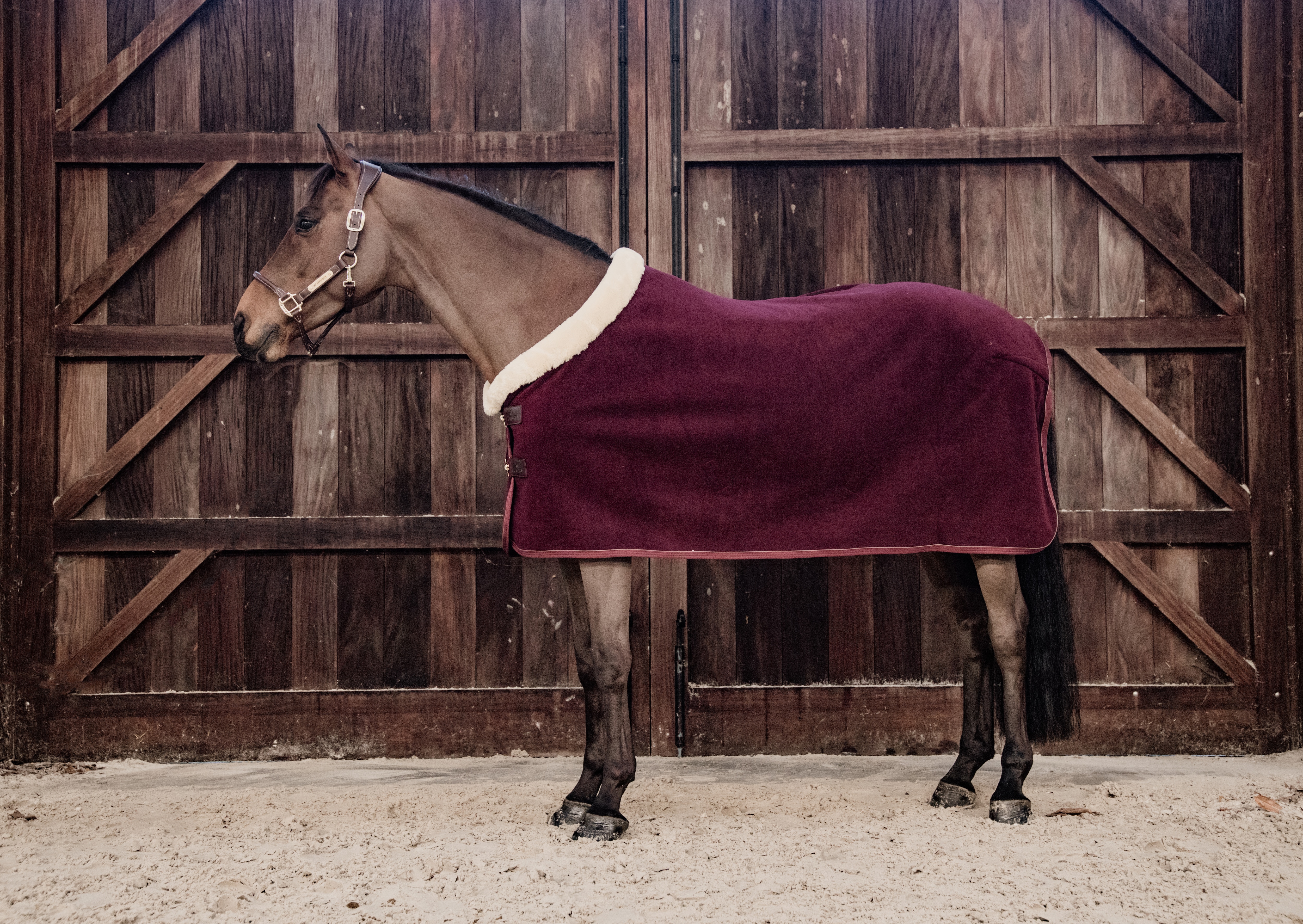 Fleece Show Rug - Bordeaux