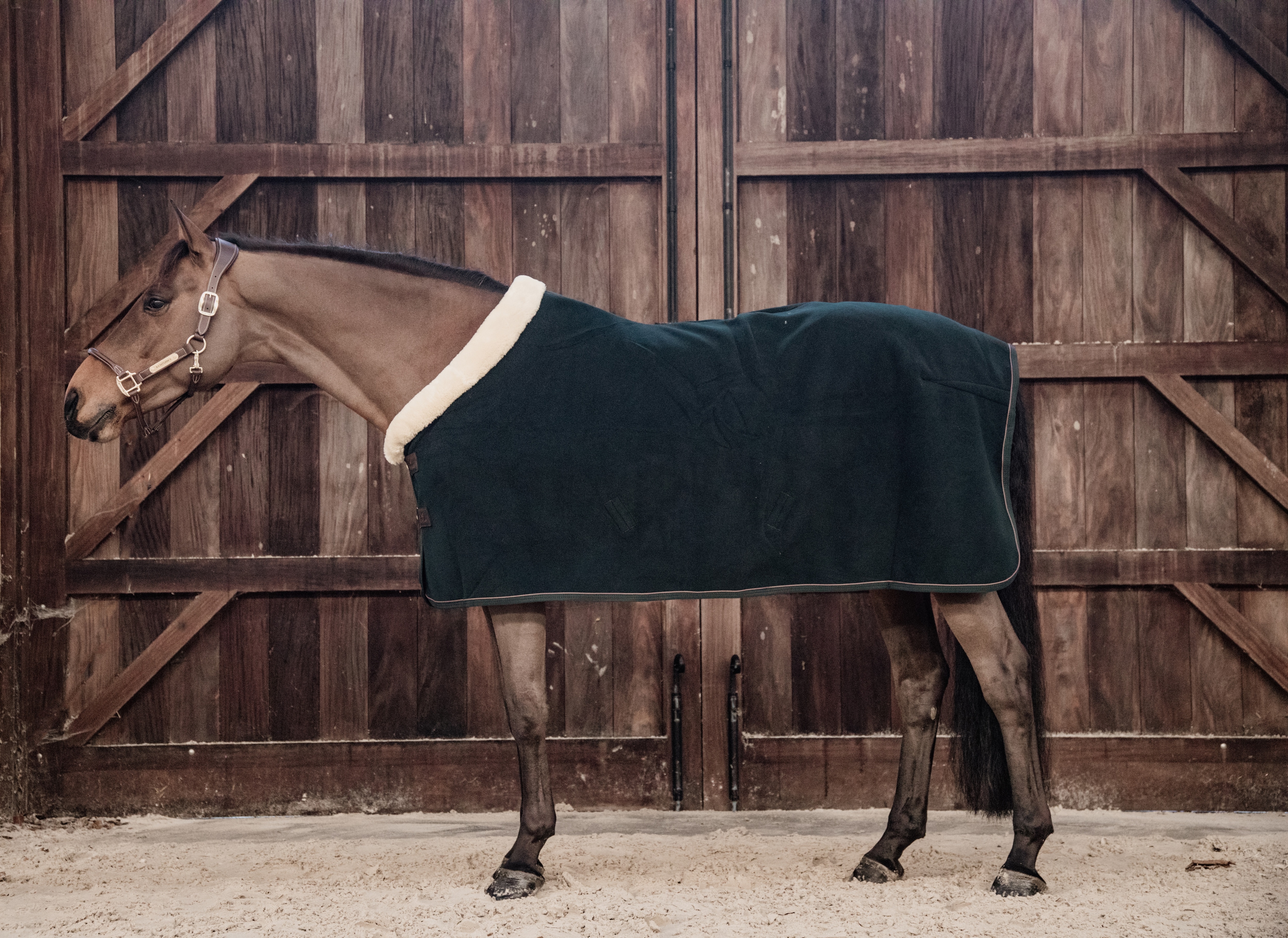 Fleece Show Rug - Pine Green