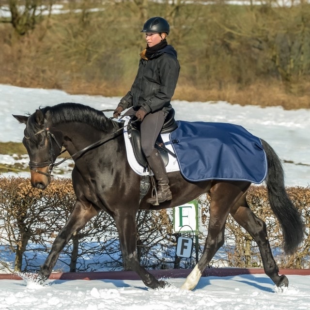 Quarter Sheet/Competition sheet - Navy