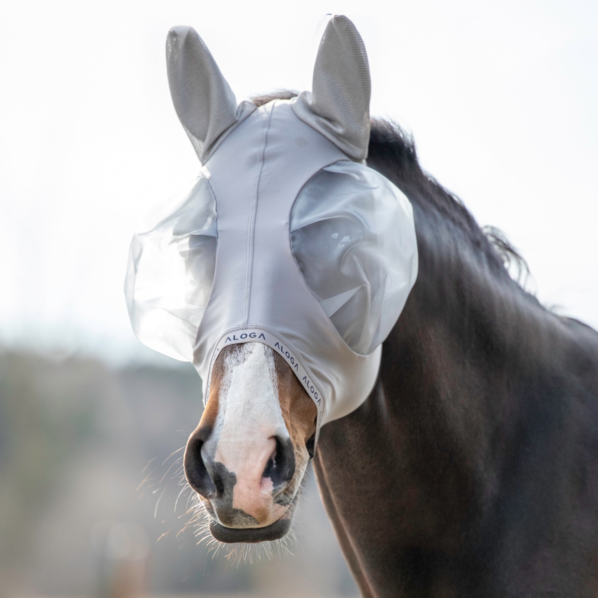 Aloga Fly mask 2.0 - Grey