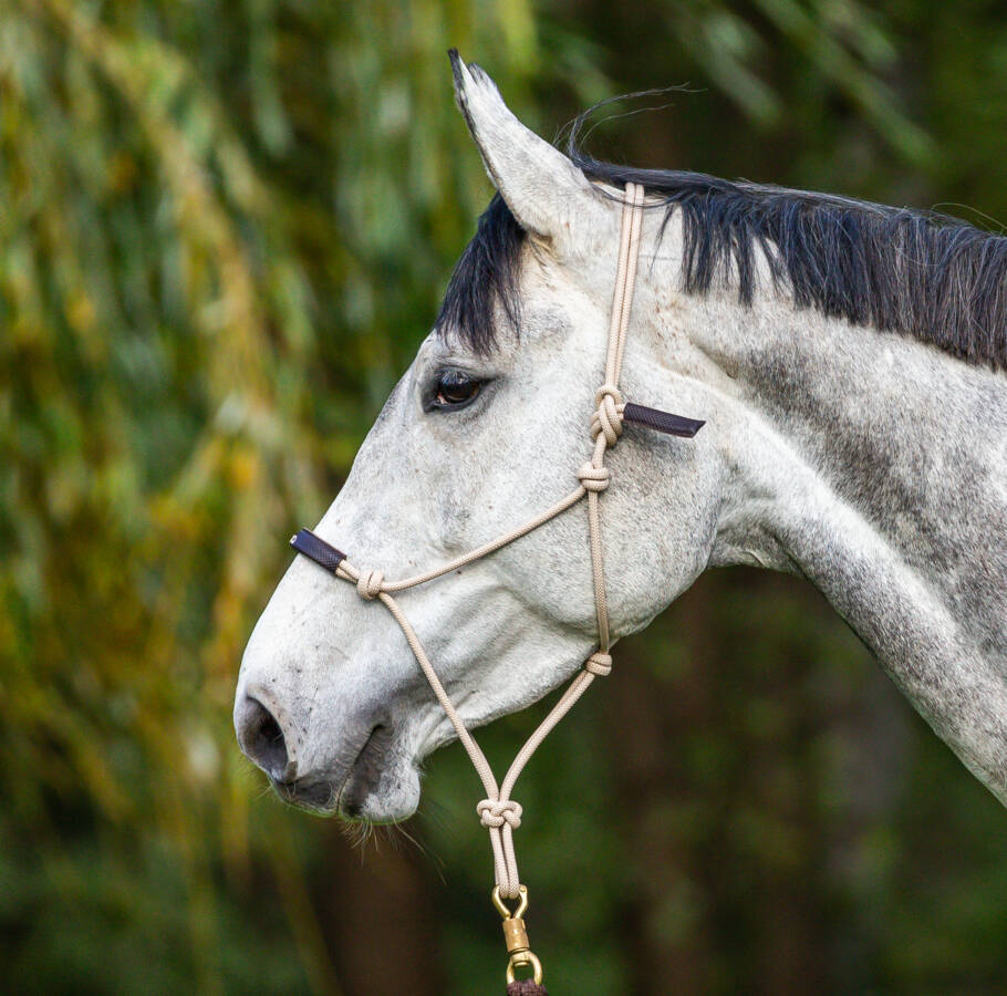 Rope halter - Nature
