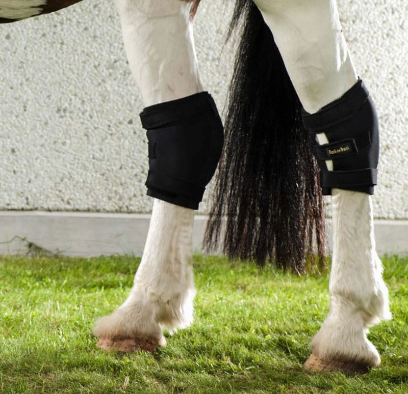 Hock Boot from Back on Track Hogstaonline Hogsta Ridsport