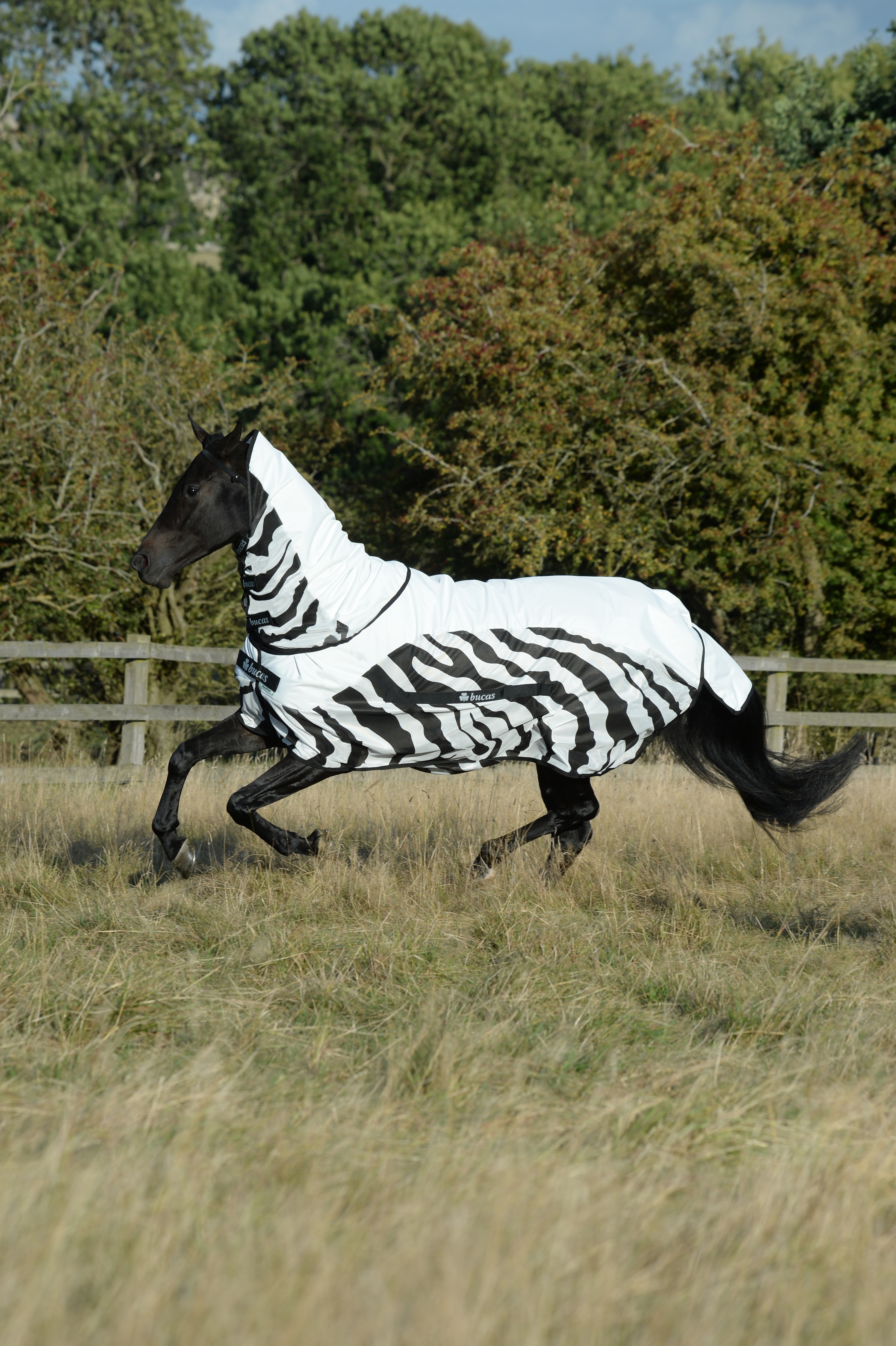 New Bucas Sweet Itch Full Neck Rug Zebra Print 