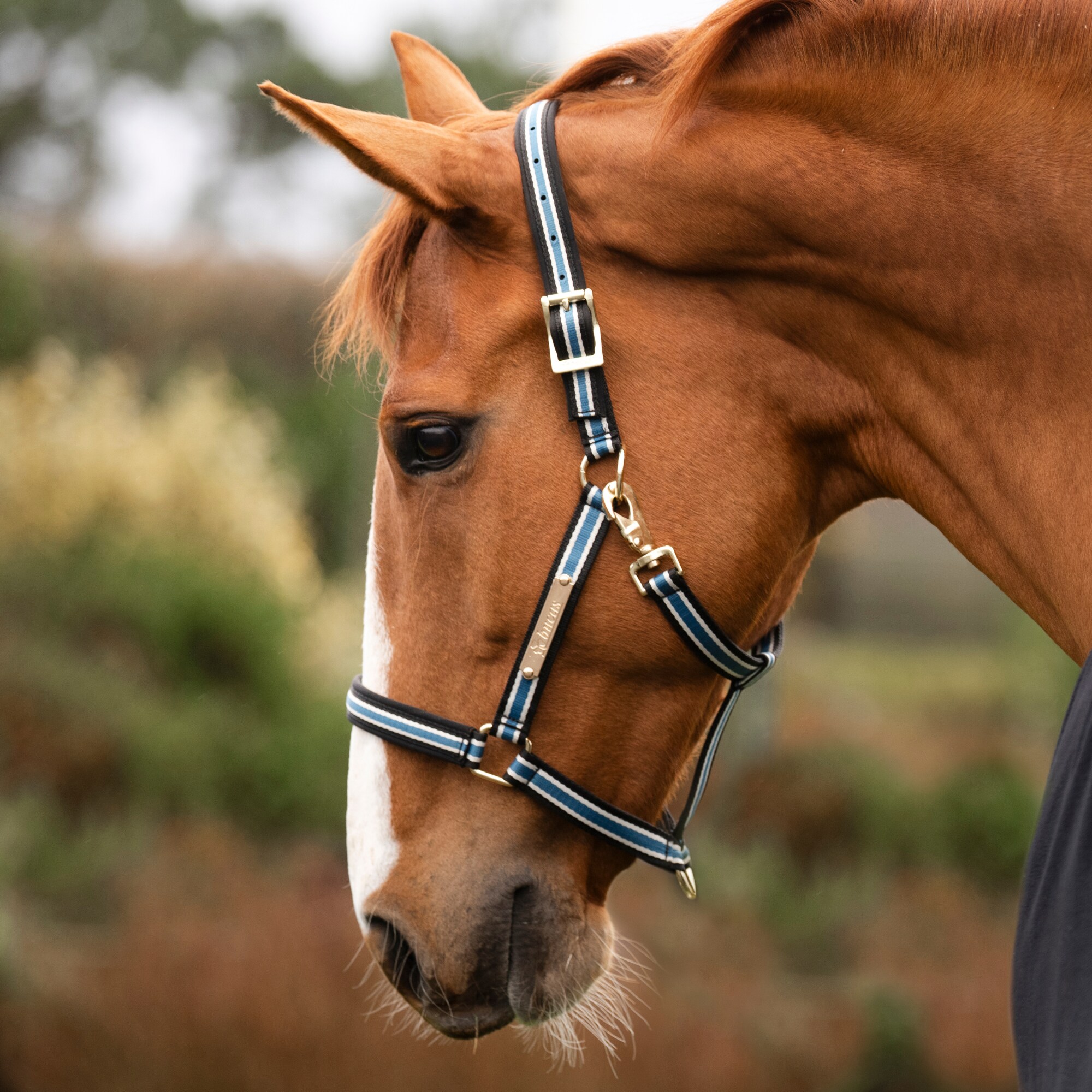 Anniversary Halter - Sapphire