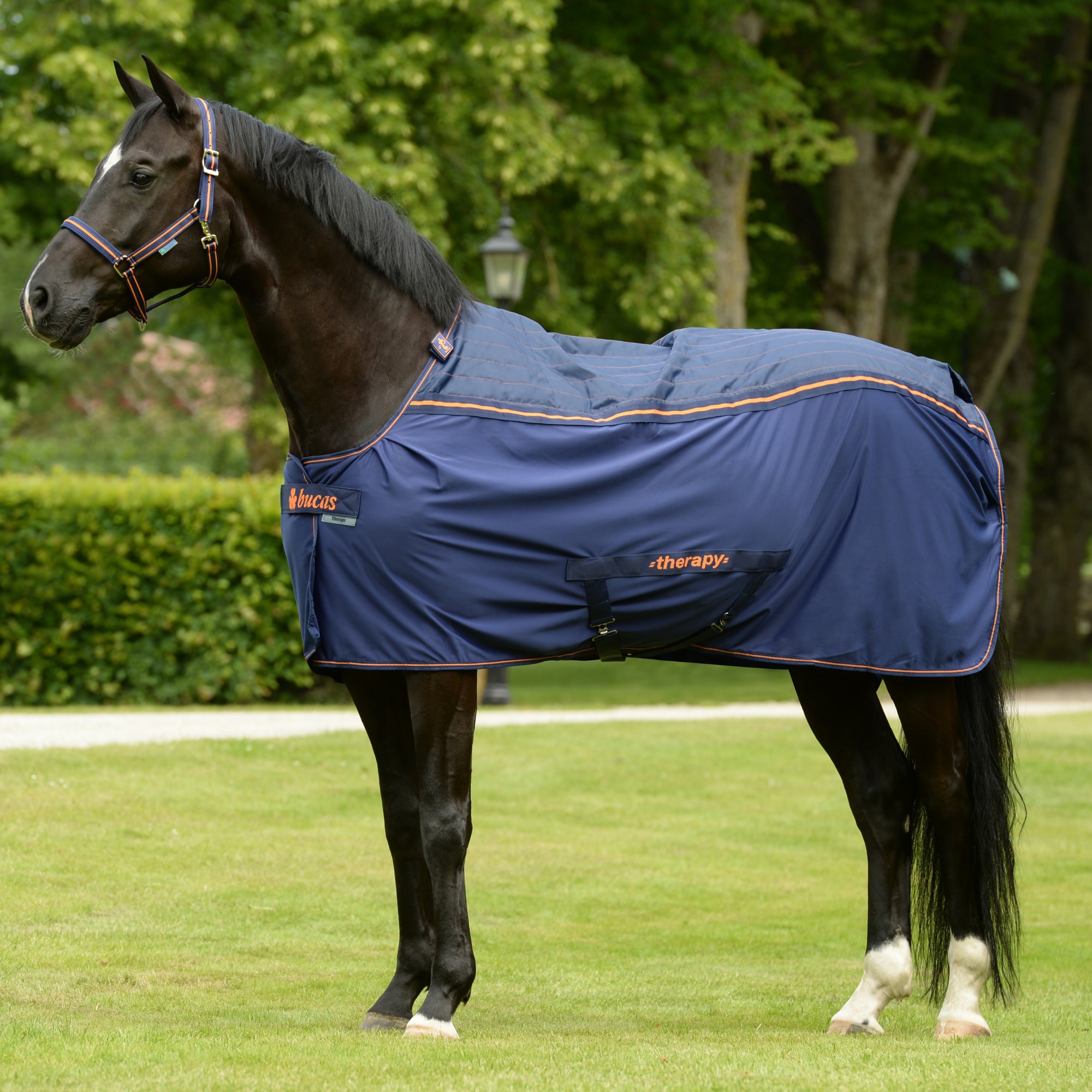Bucas Therapy Cooler Rug