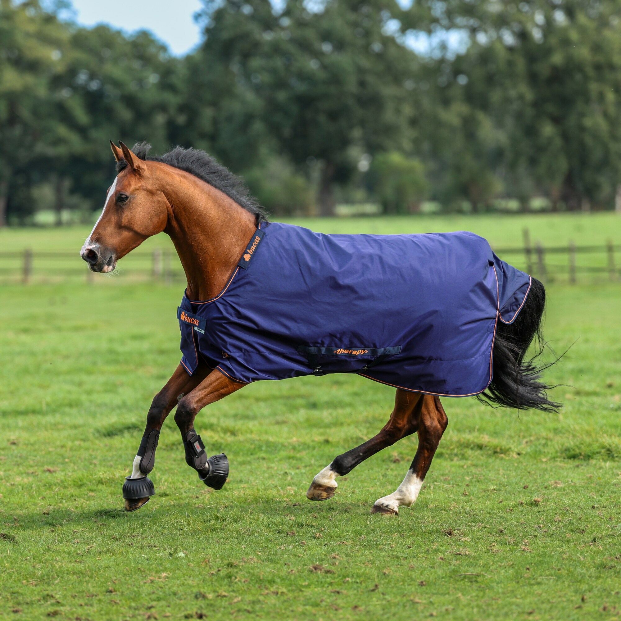 Bucas Therapy Turnout - 150gr