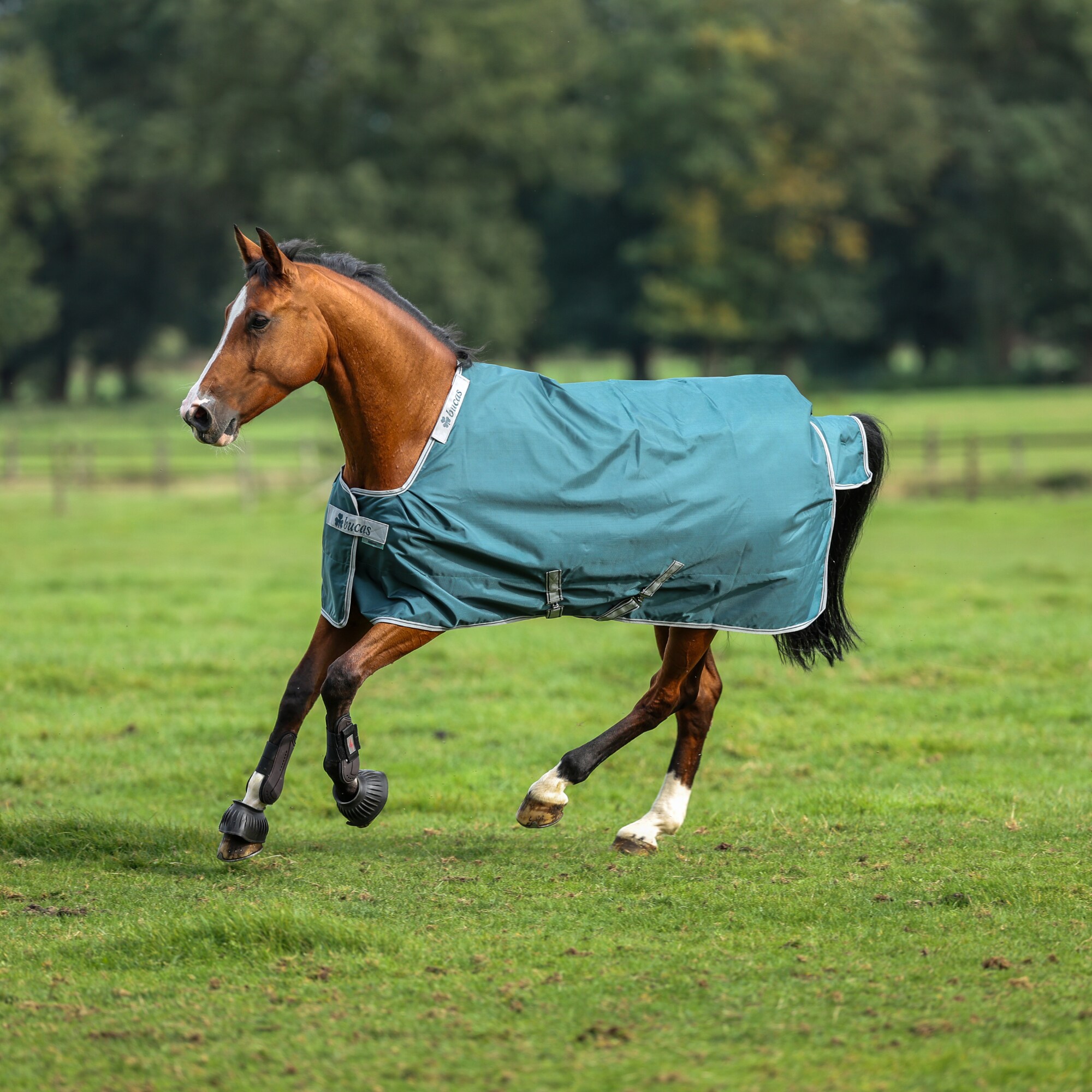 Atlantic Turnout 50g - Green