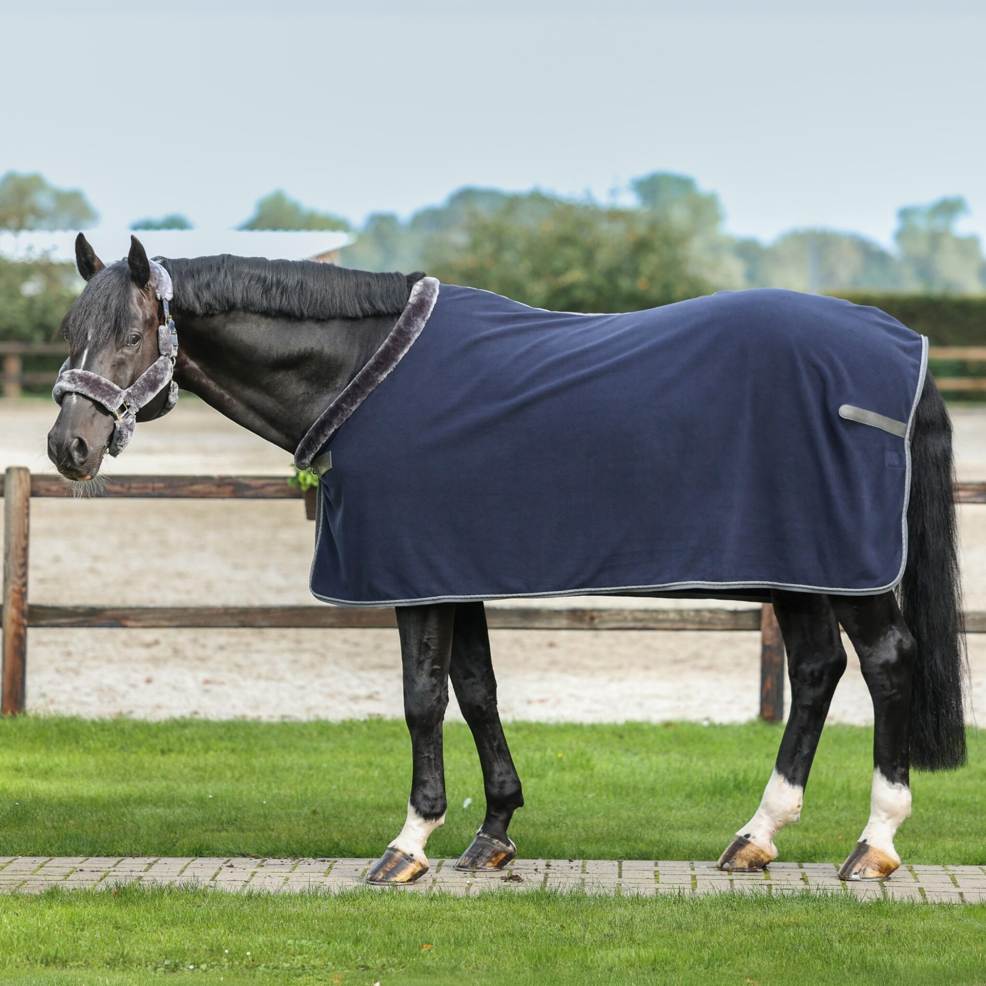 Show-Line Fleece 400g - Navy