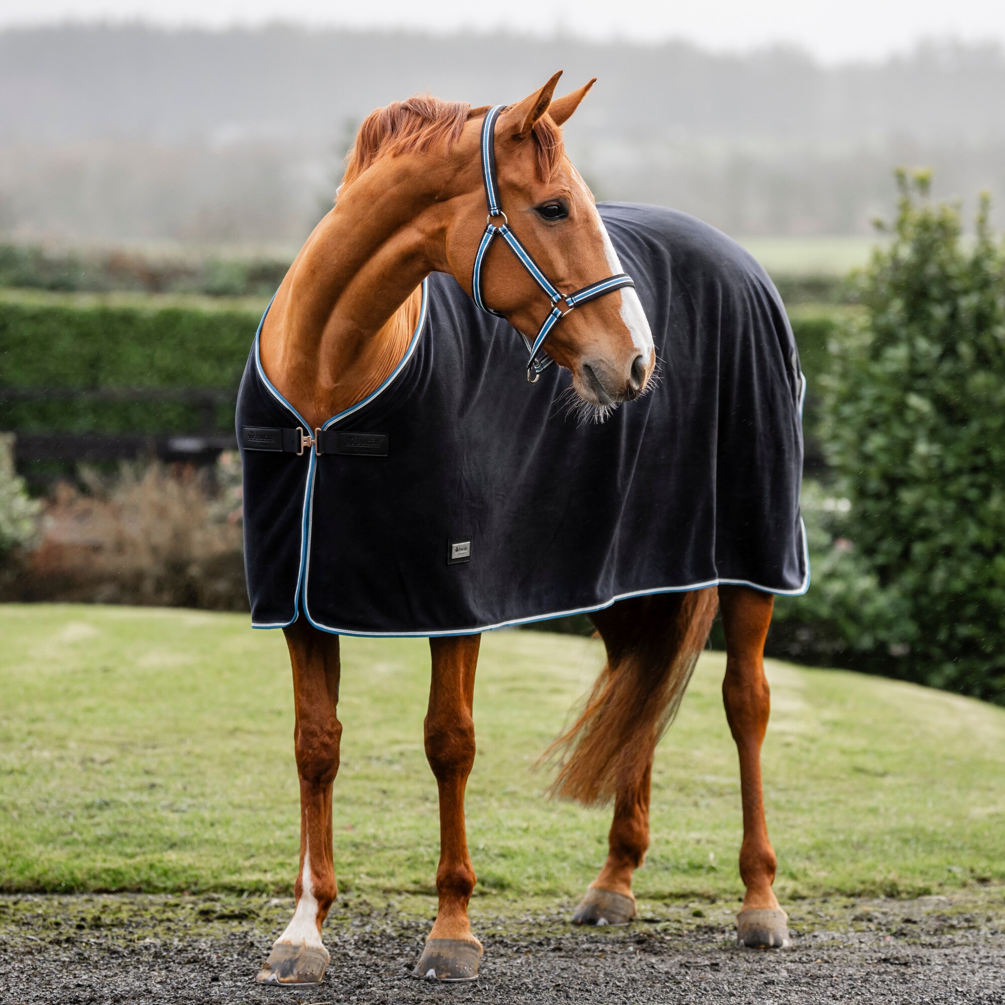 Anniversary Fleece Rug - Sapphire
