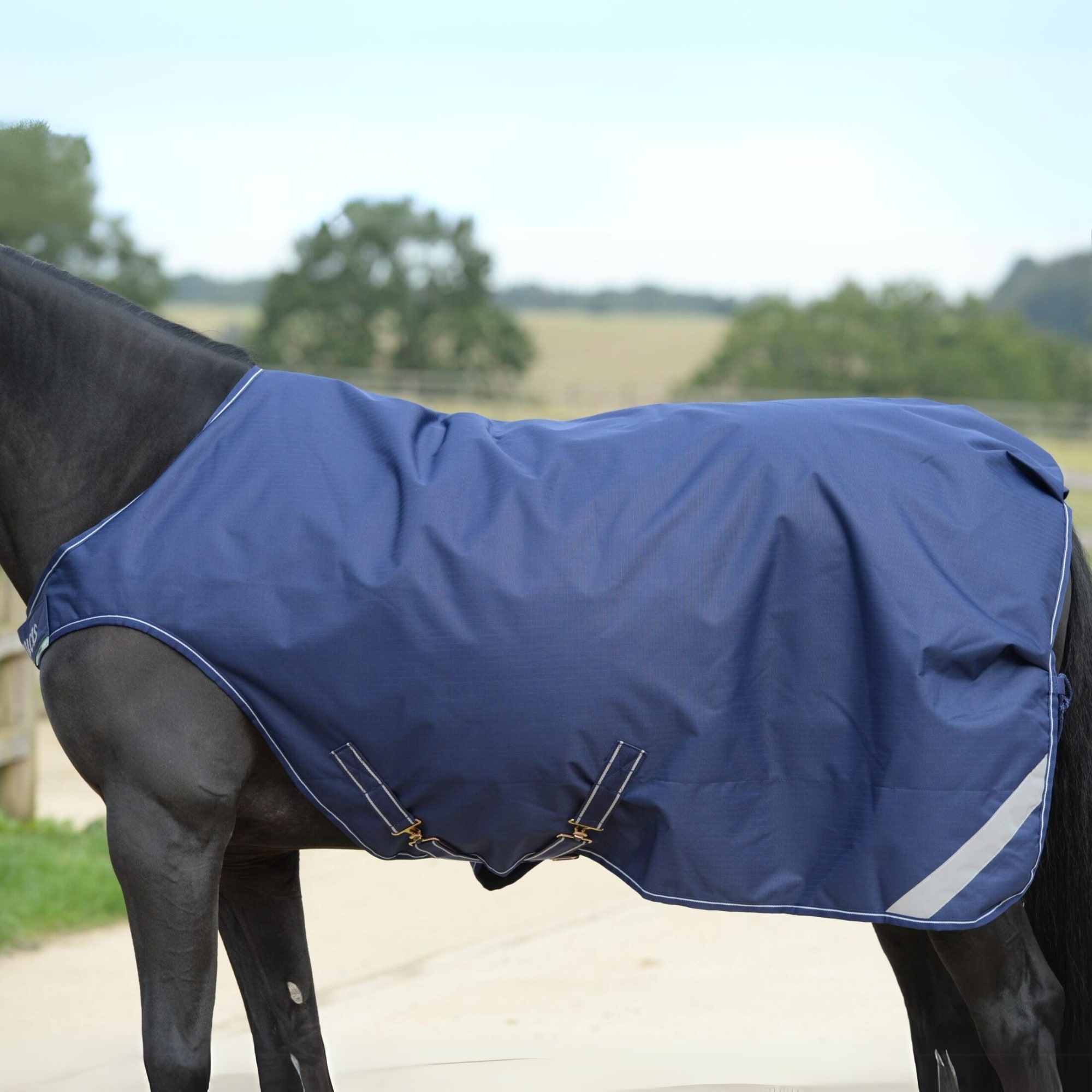 Bucas Walker - Navy