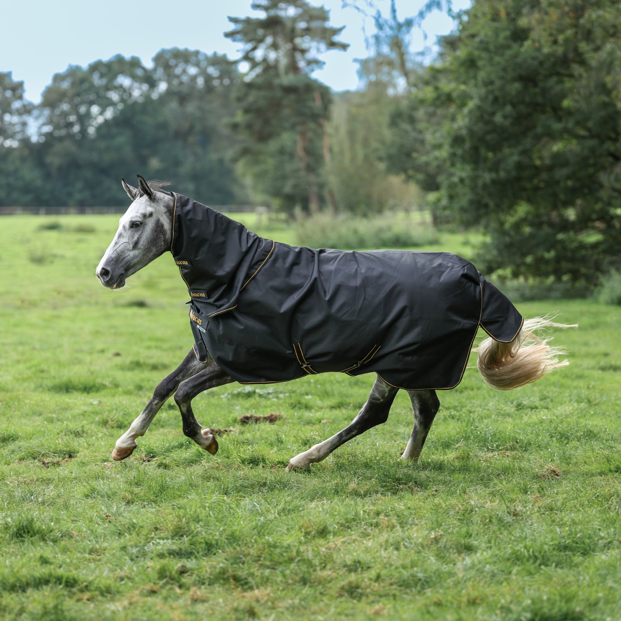 Irish Turnout Light Set - Black