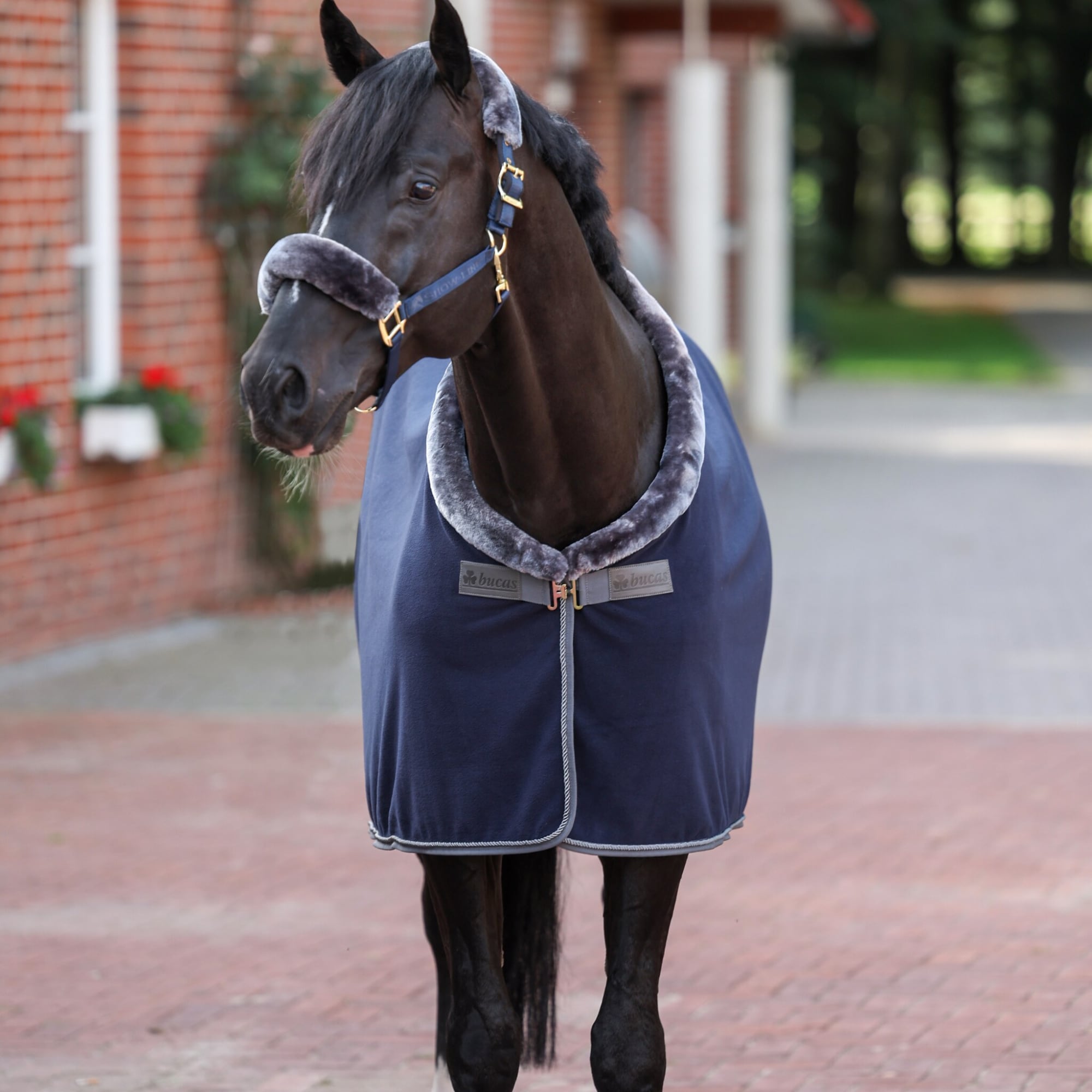 Show-Line Fleece 600g - Navy
