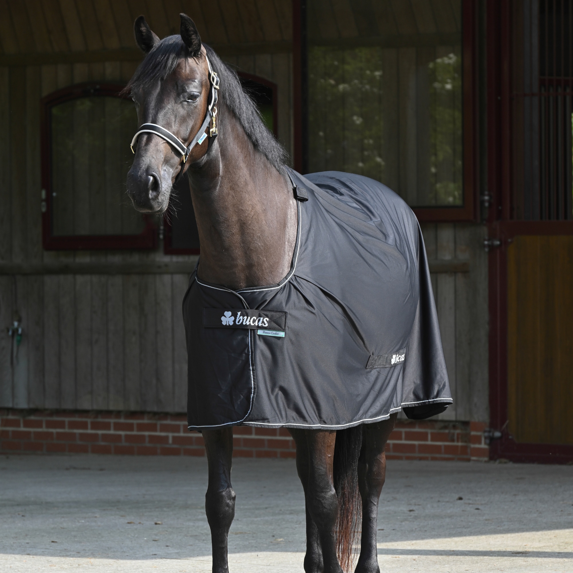 Power Cooler - Black