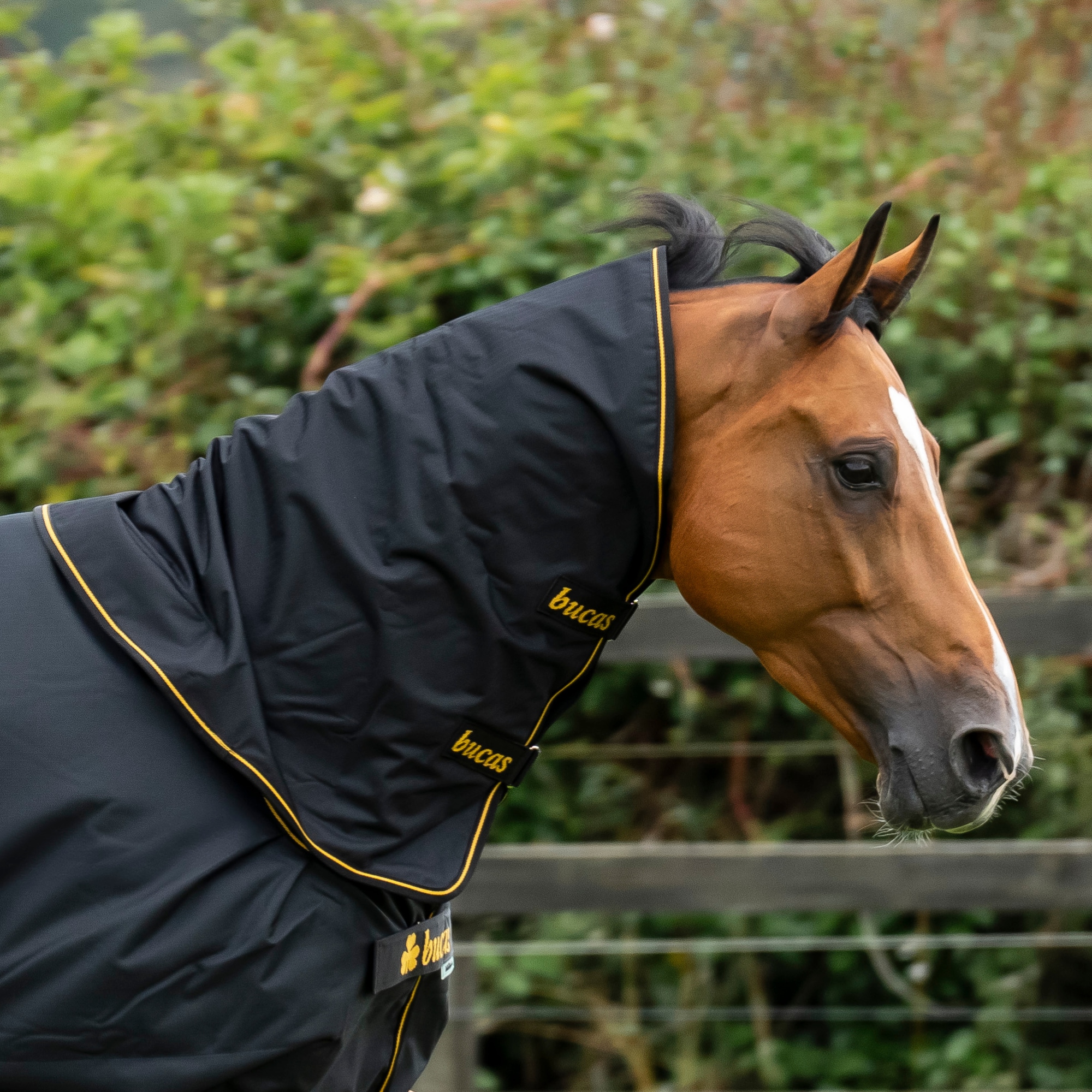 Irish Turnout Neck - Black