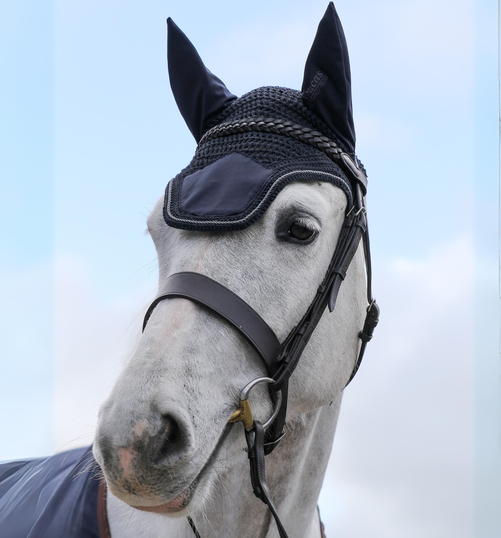 Show-Line Fly Bonnet - Navy