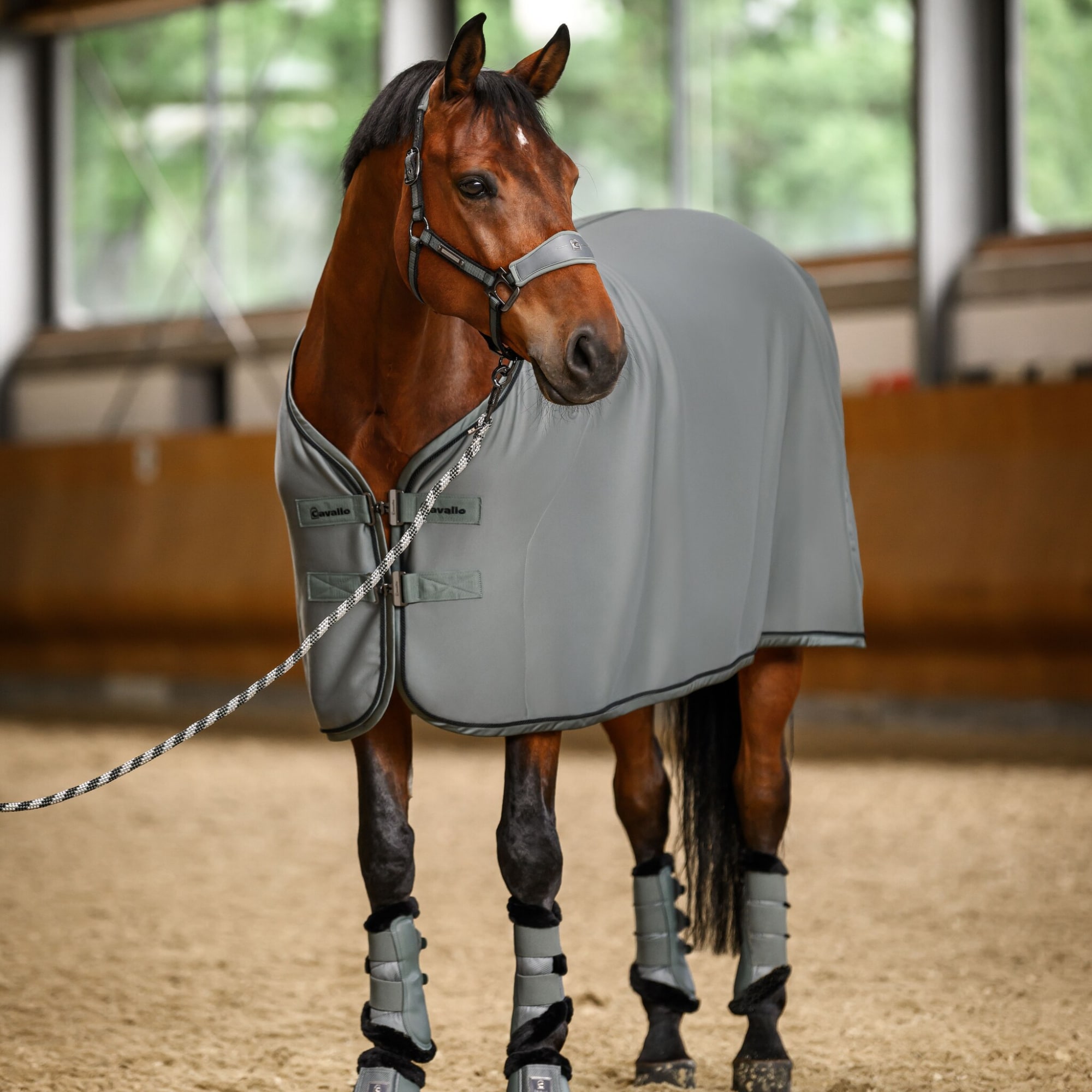 Caval Cooler Rug - Thyme