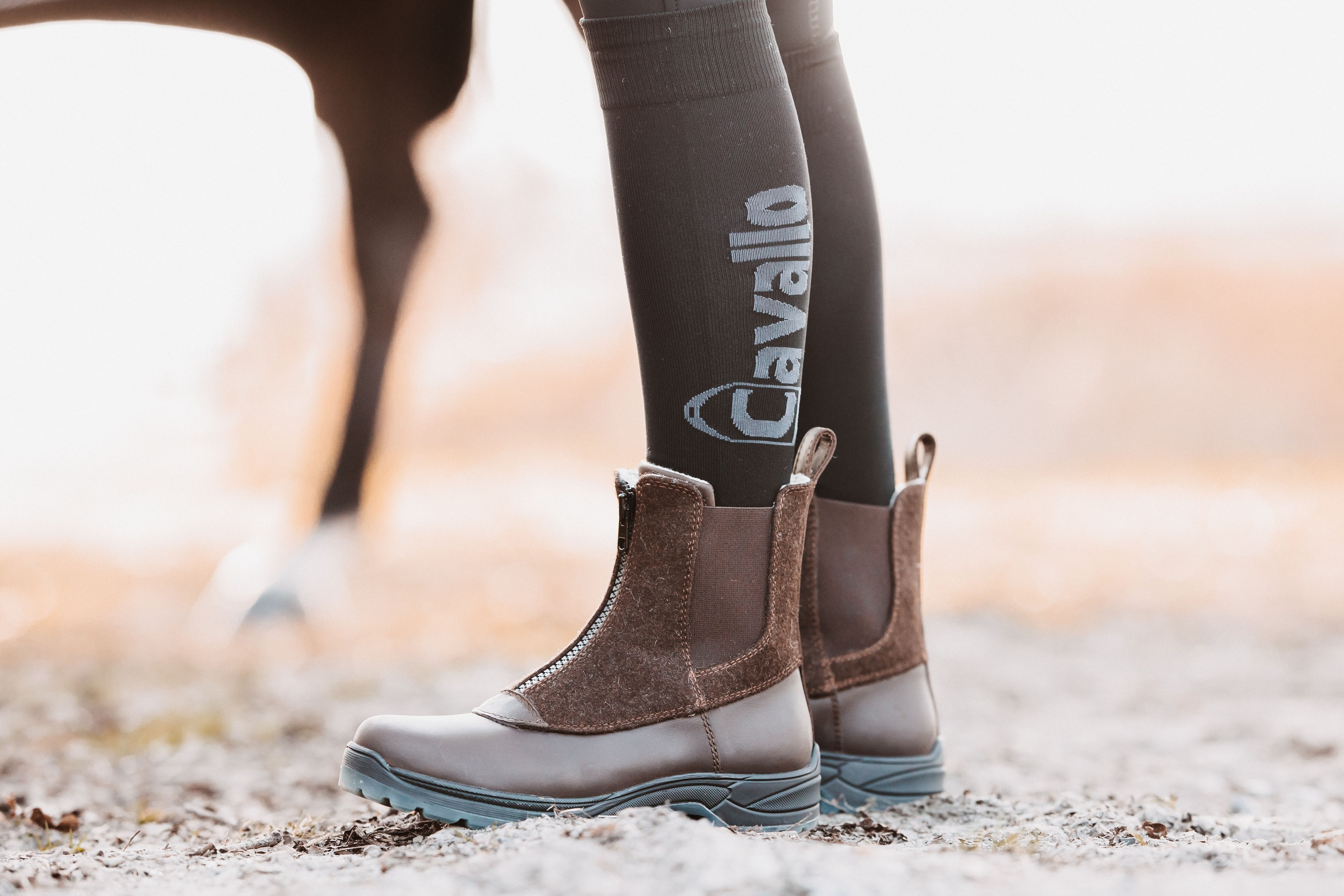 Cavalglenmaddy Stable boots - Mocha