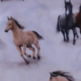 tunna-ridstrumpor-celeste-stein-hogsta-ridsport