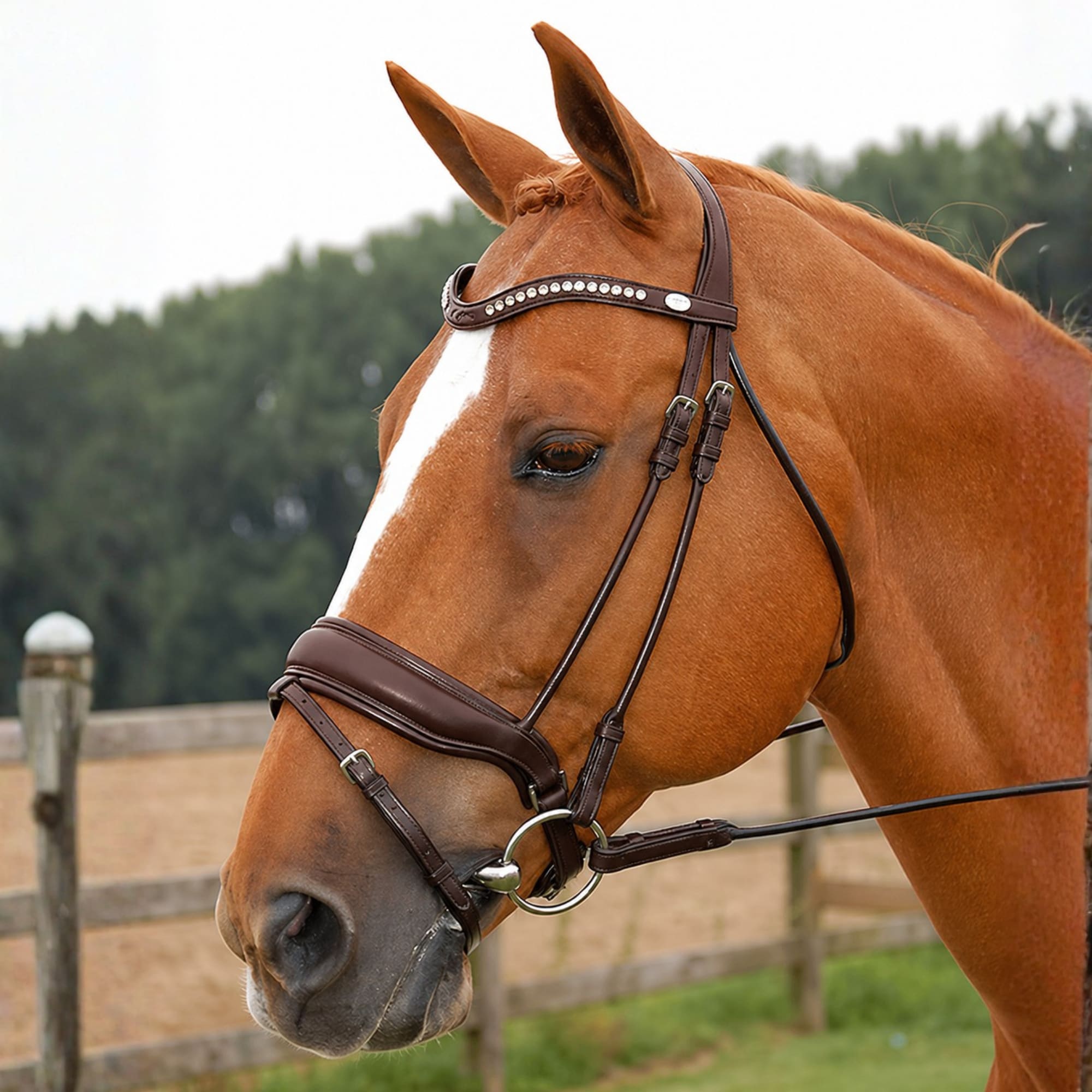 Round Sewn Bridle - Brown