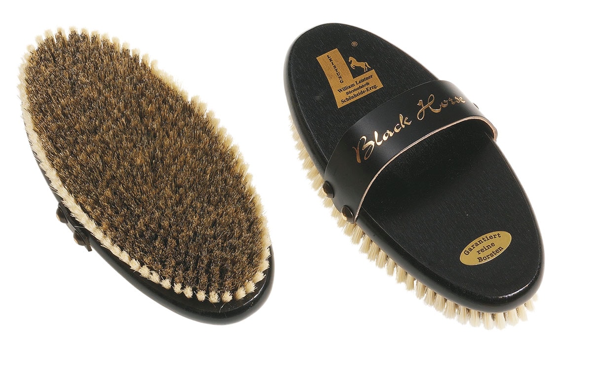 High gloss grooming brush from William Leistner - Hogstaonline