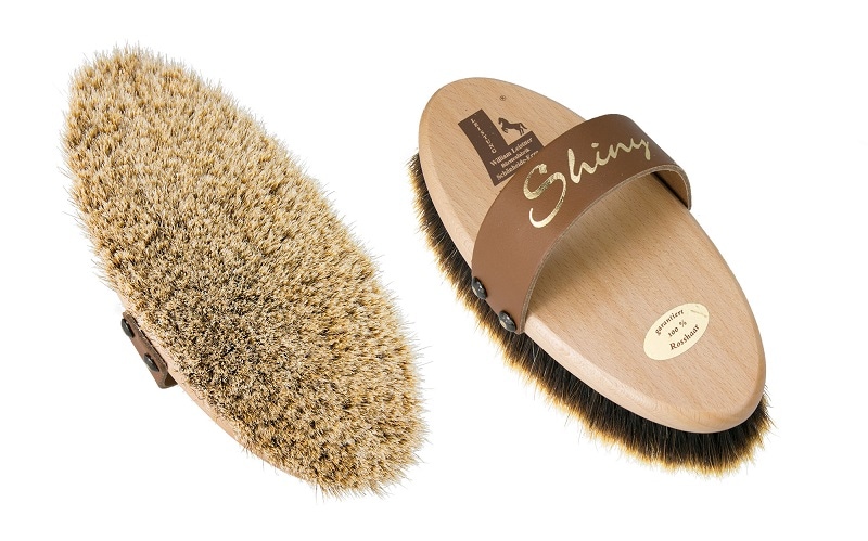 Shiny grooming brush