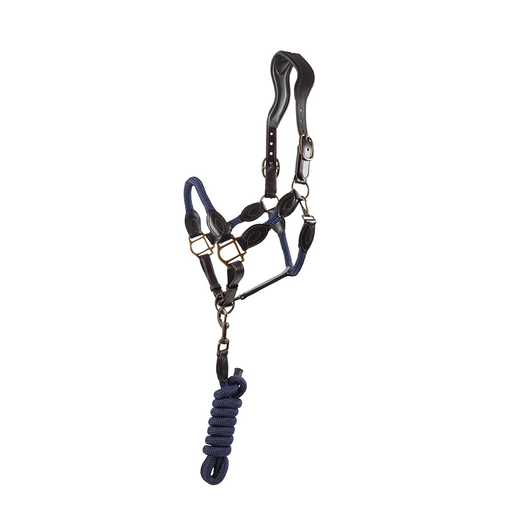 HS Halter and lead rope - Navy