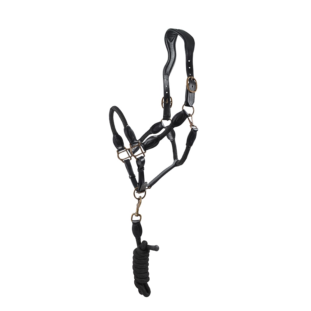 HS Halter and Lead rope - Black
