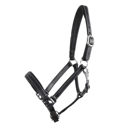 Classic Scandi leather halter - Black