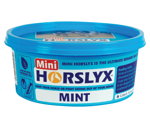 Horslyx Slicksten - Mint
