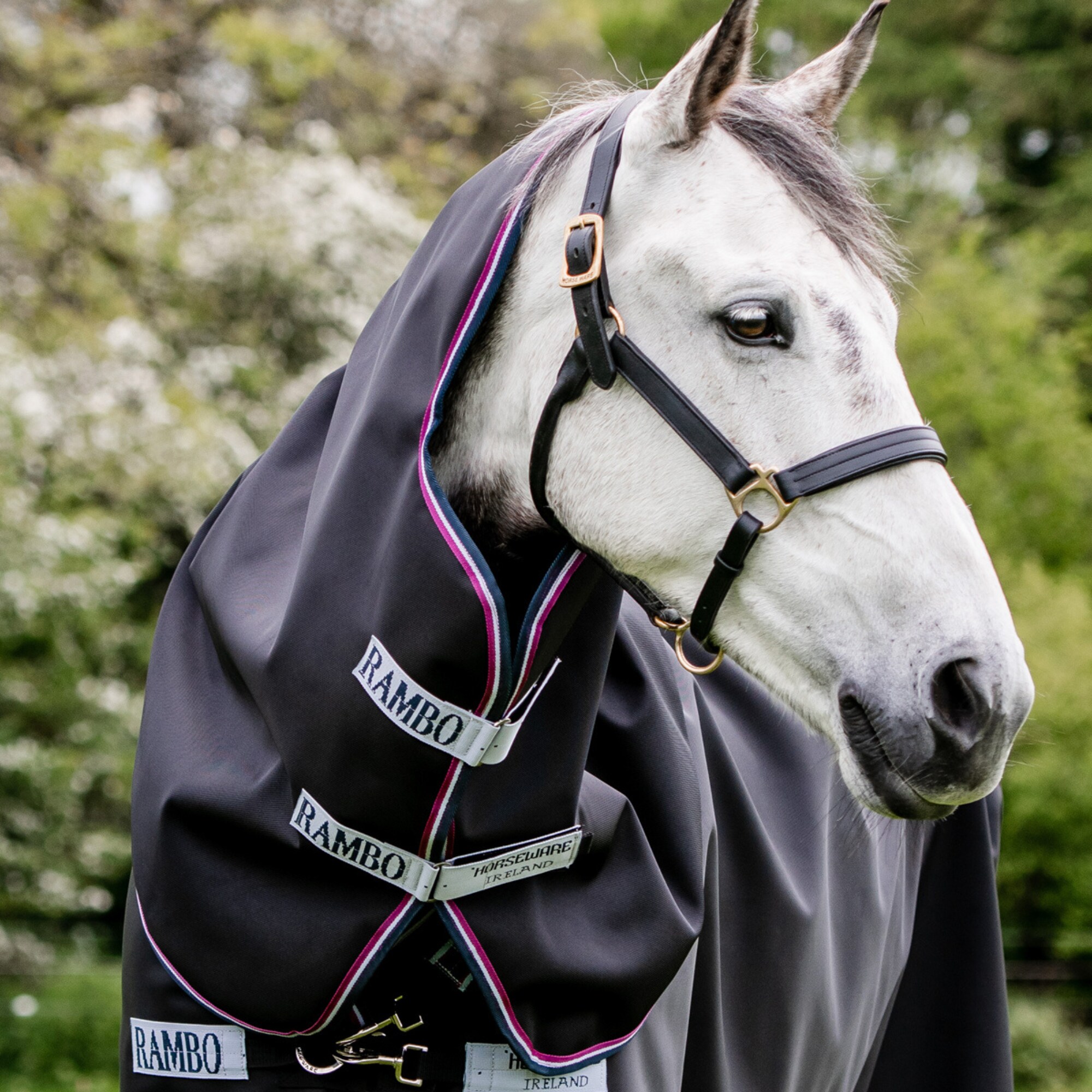 Horseware Rambo Supreme Hood