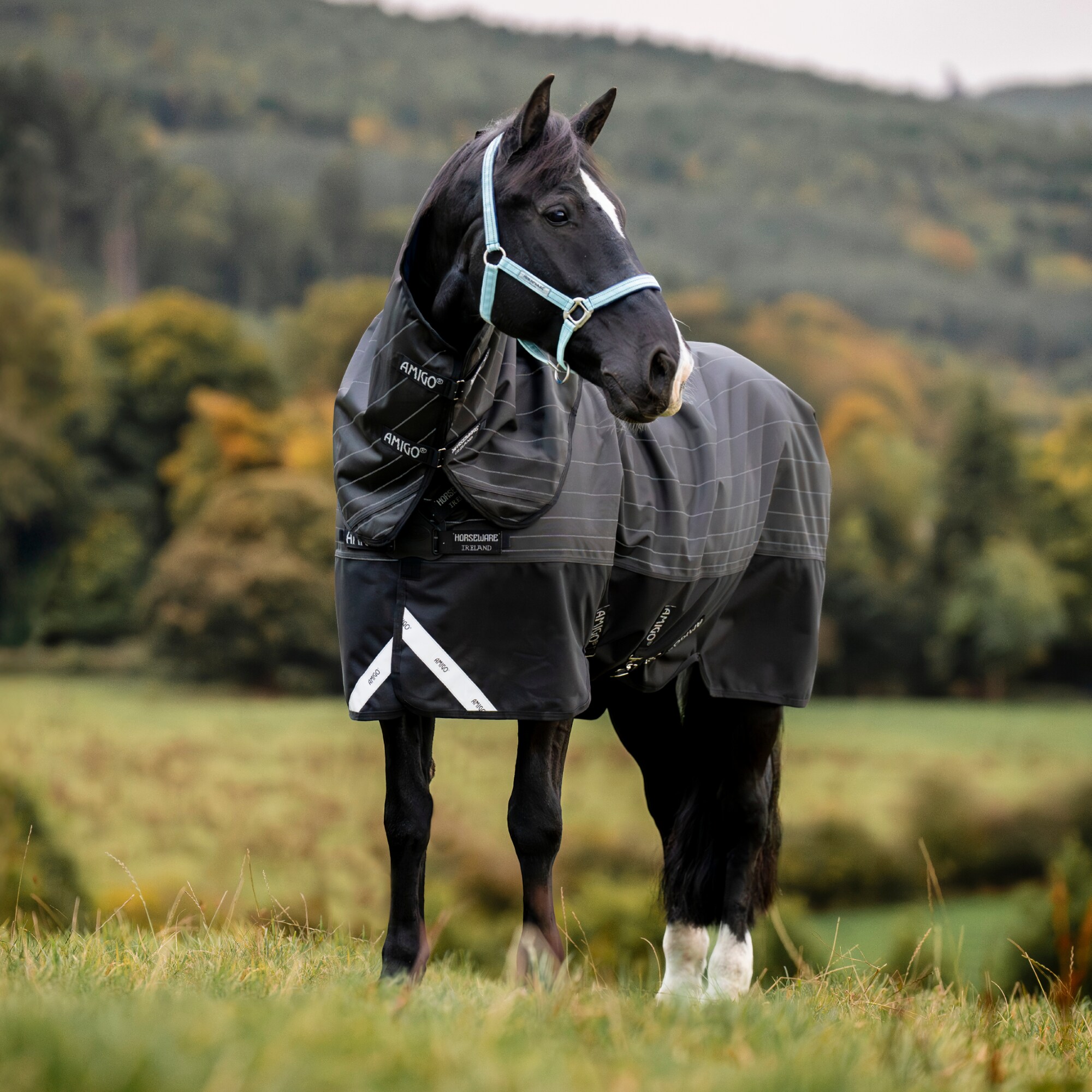 Amigo 1200D FieldSafe Turnout Rug with Neck - Black
