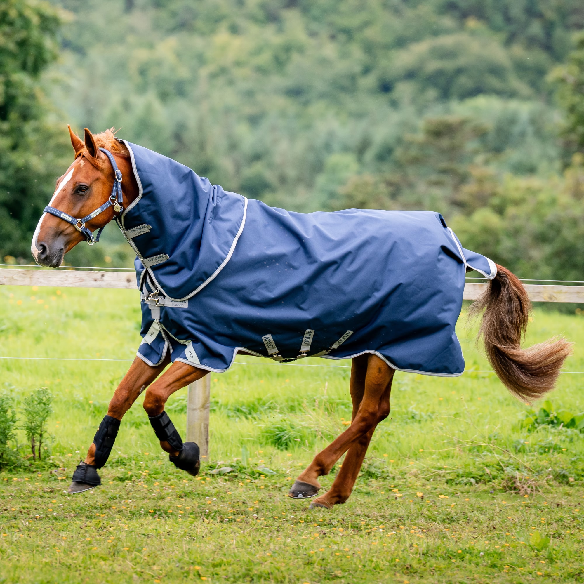 Amigo 1200D Plus Turnout - 50gr - Navy/Silver
