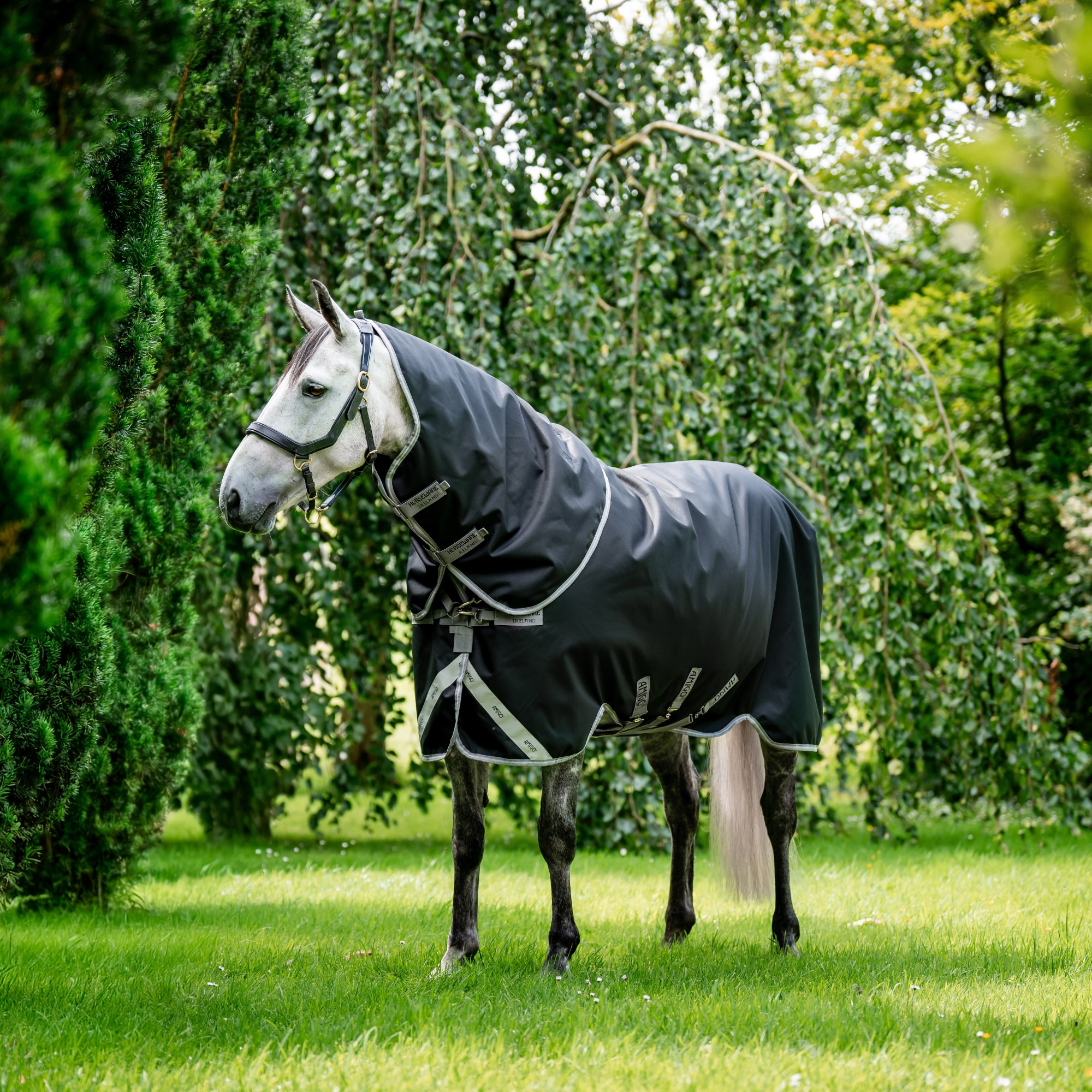 Amigo 1200D Plus Turnout - 50g - Black