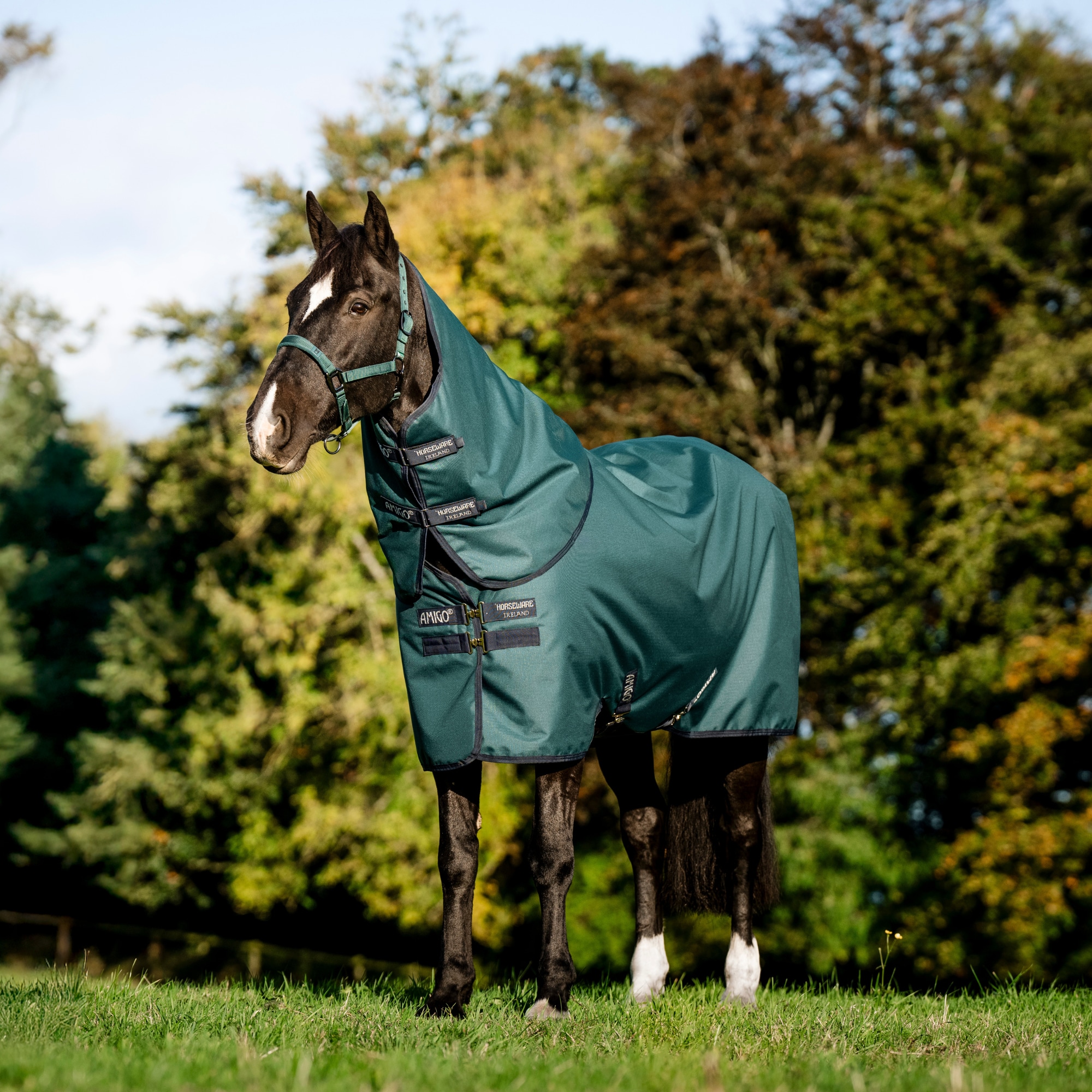 Amigo RS 900D Plus Turnout - 0g - Dynasty Green