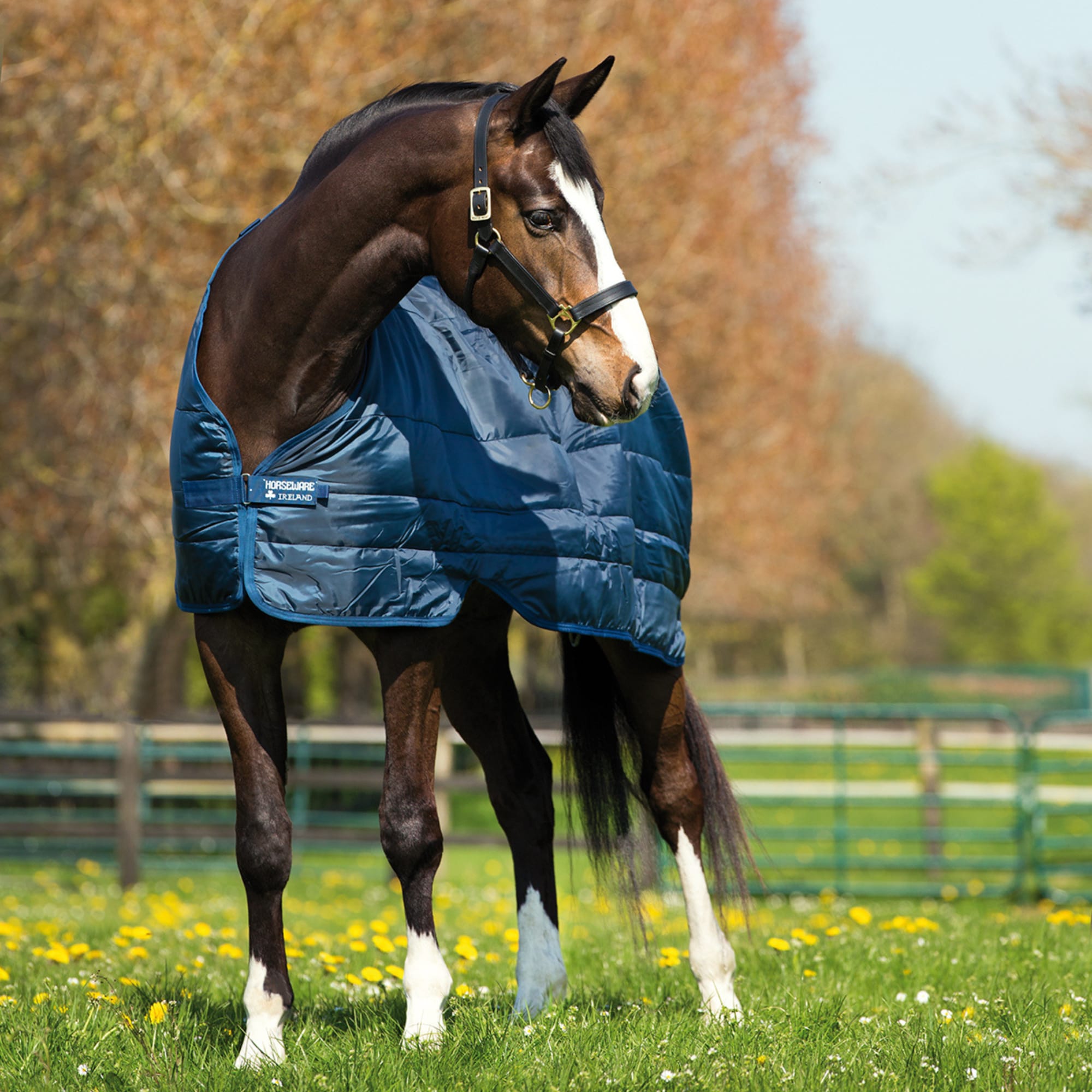 Horseware Liner 200g - Navy