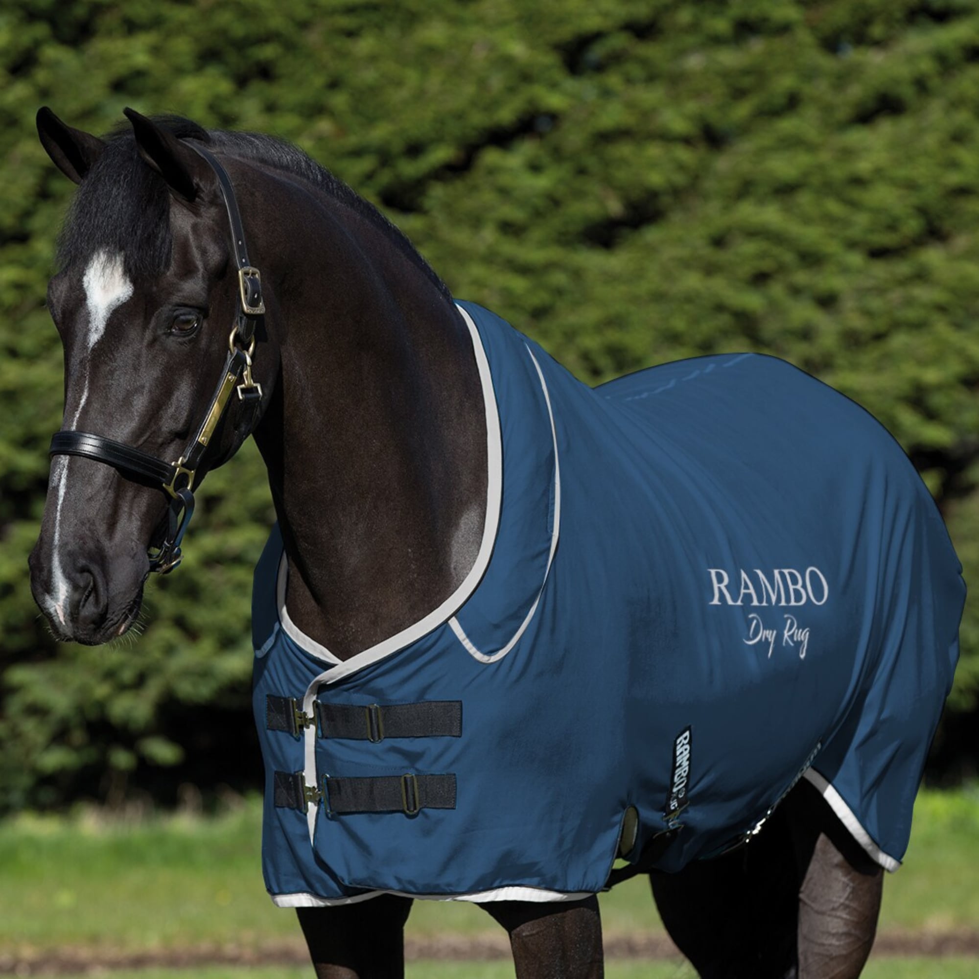 Rambo Dry Rug Supreme - Navy