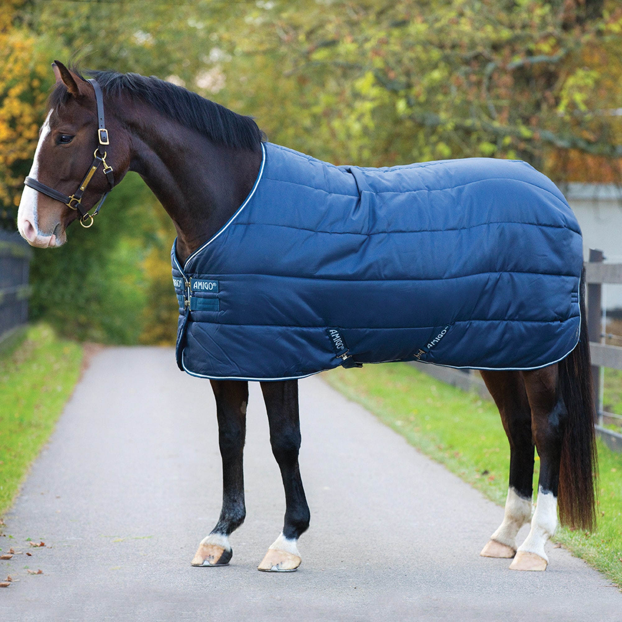 Amigo Insulator Heavy 350g - Navy