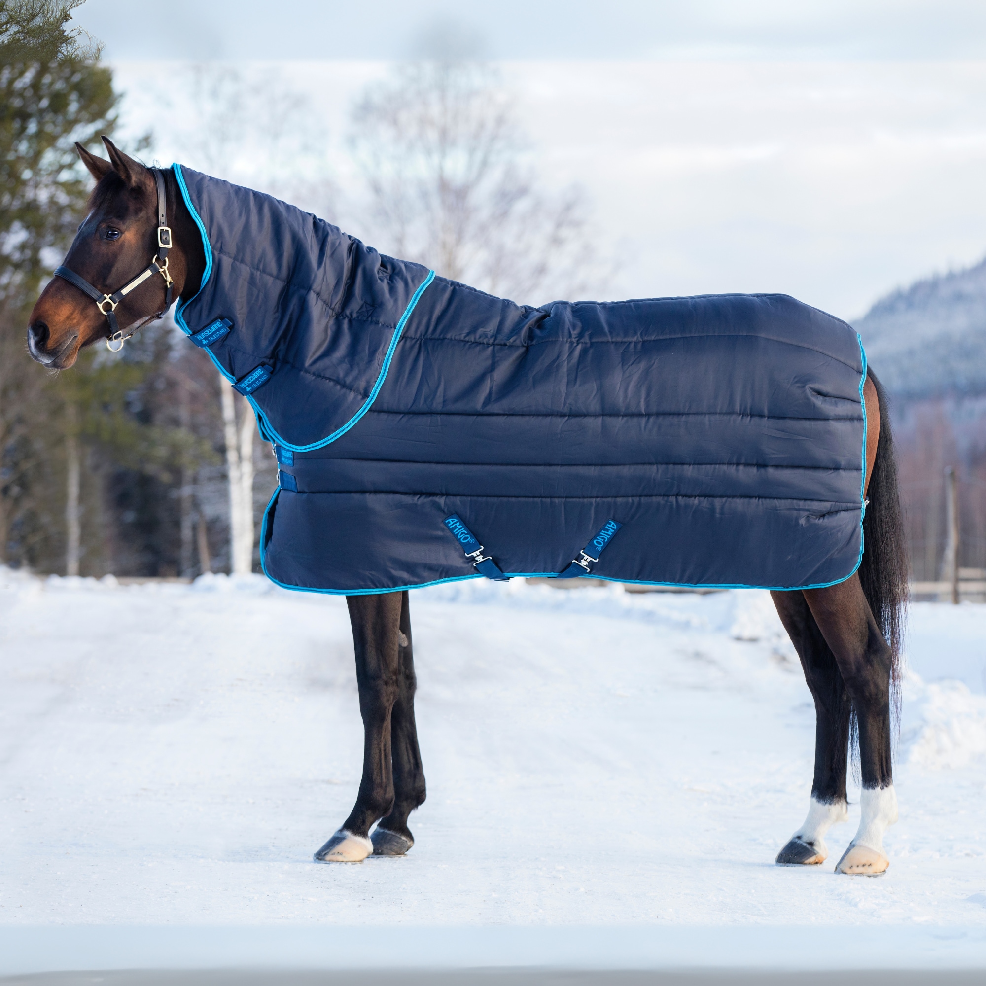 Amigo Insulator Plus 550g - Navy