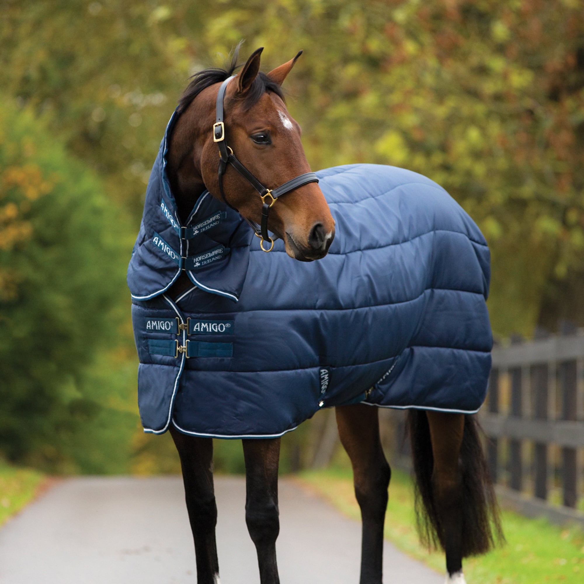 Amigo Insulator Plus 350g - Navy