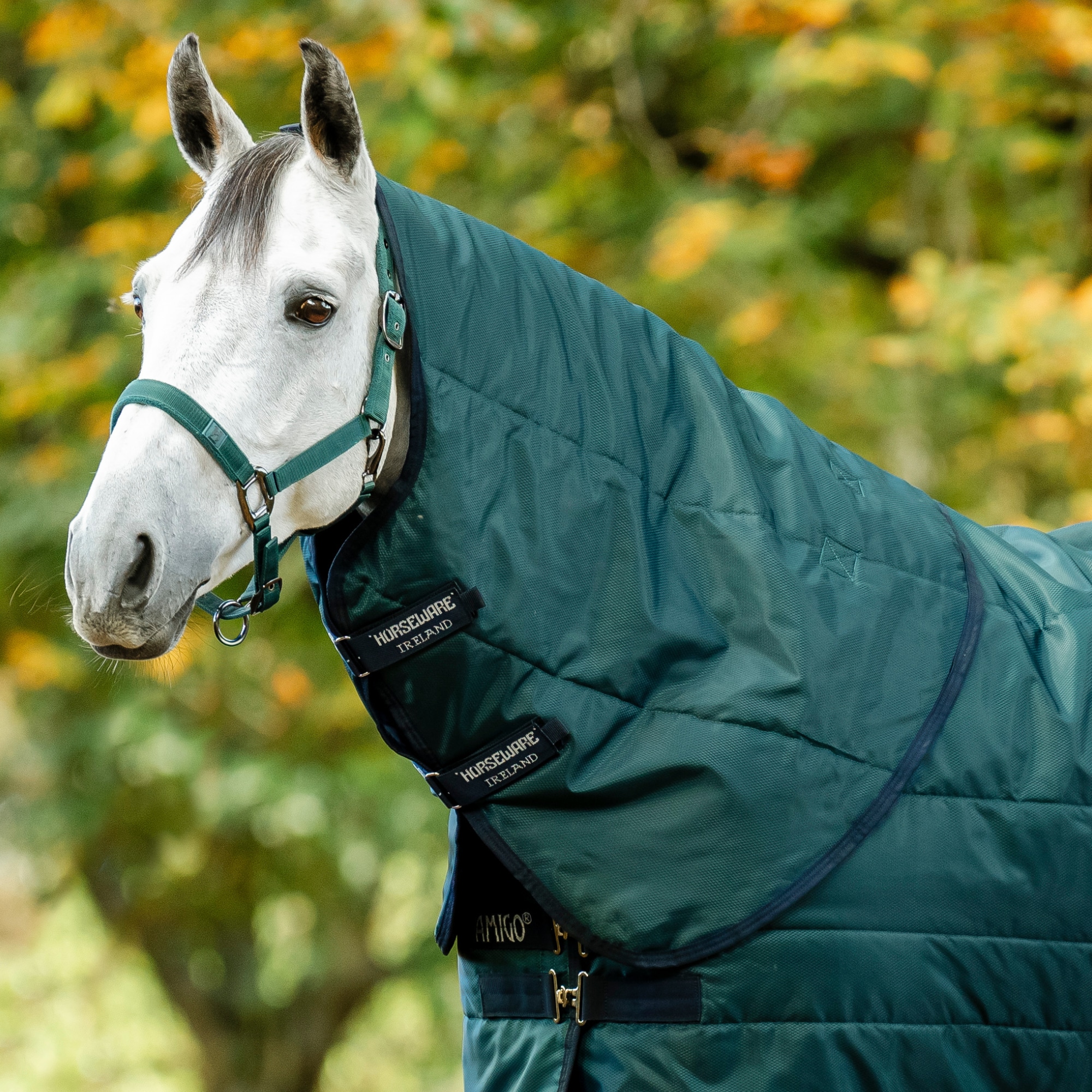 Amigo RS Insulator Hood 200 gr - Dynasty Green