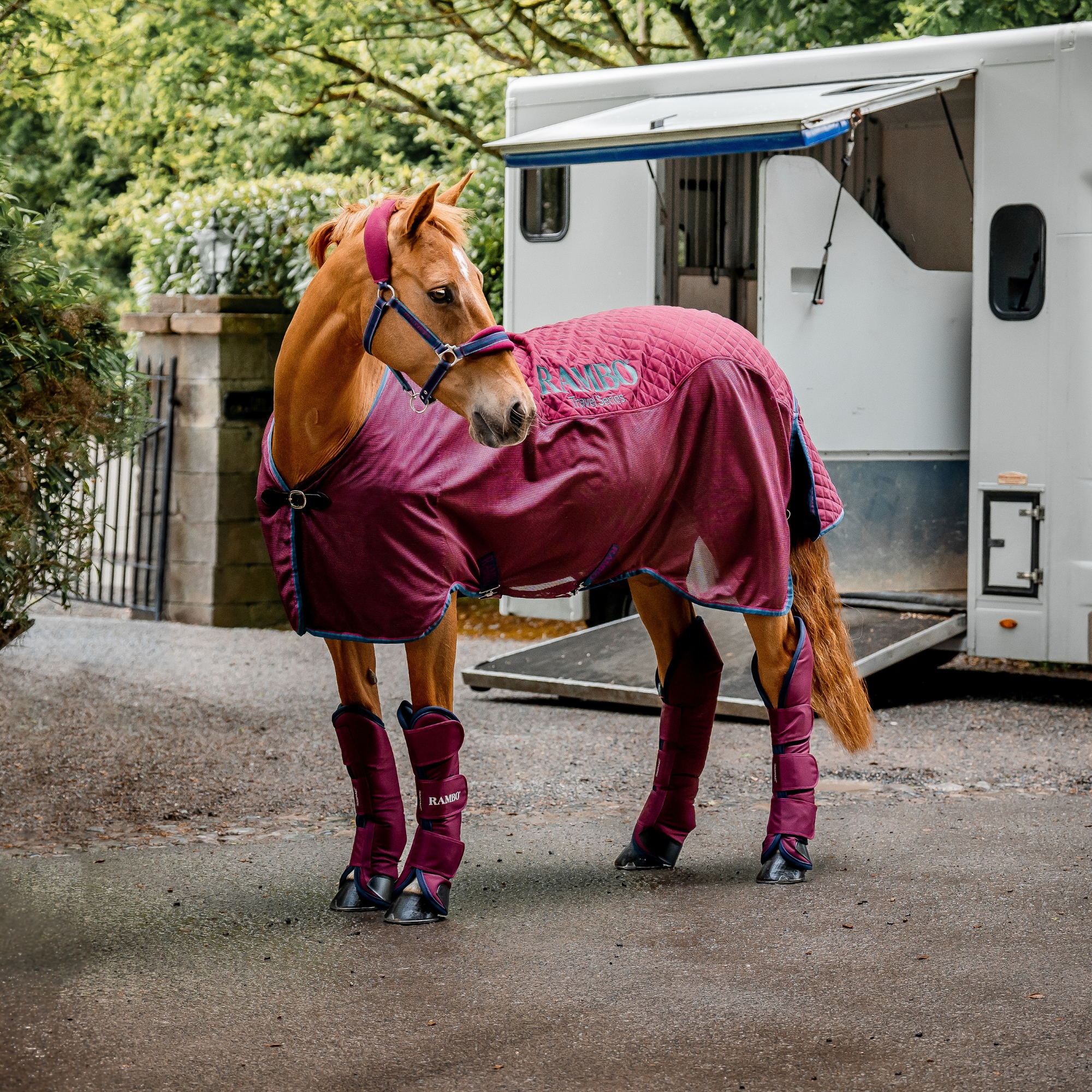 Rambo Travel Series - Burgundy