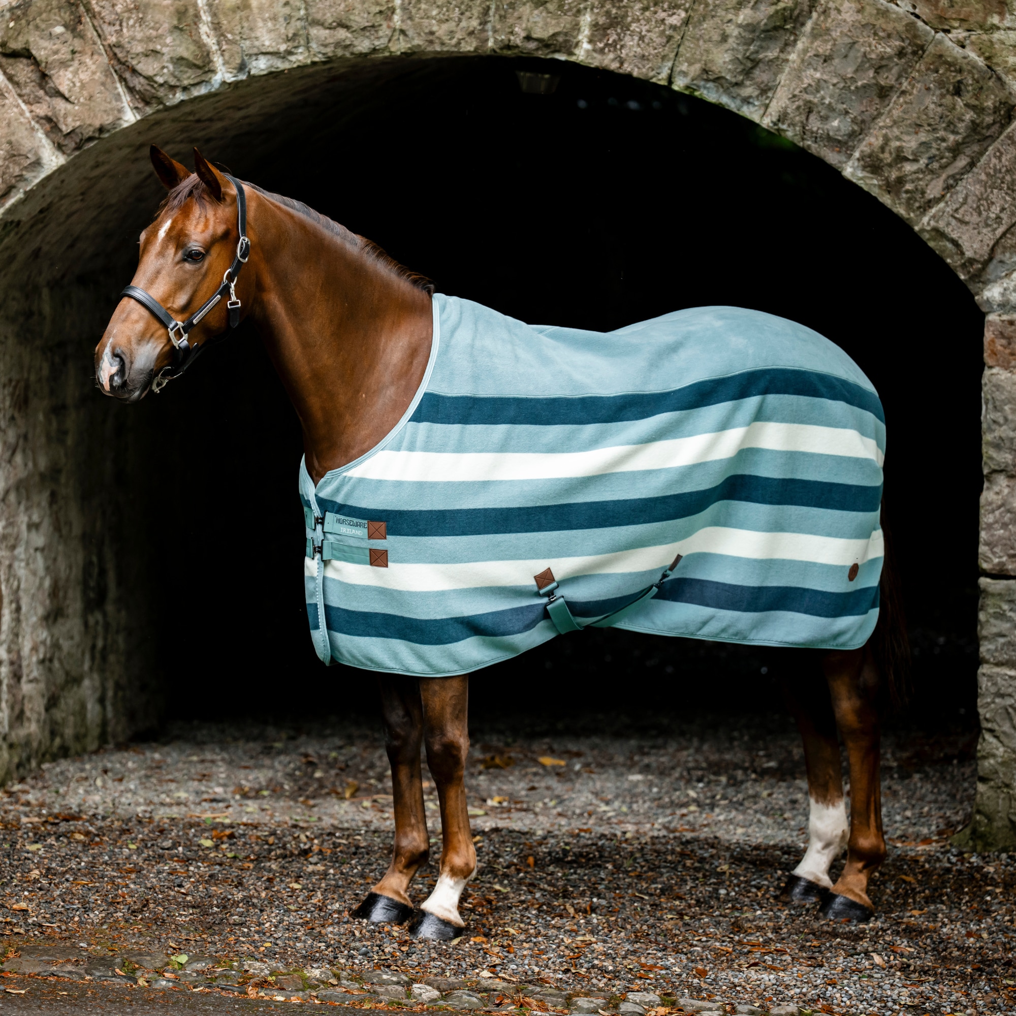 Newmarket Fleece Cooler - Witney Dynasty