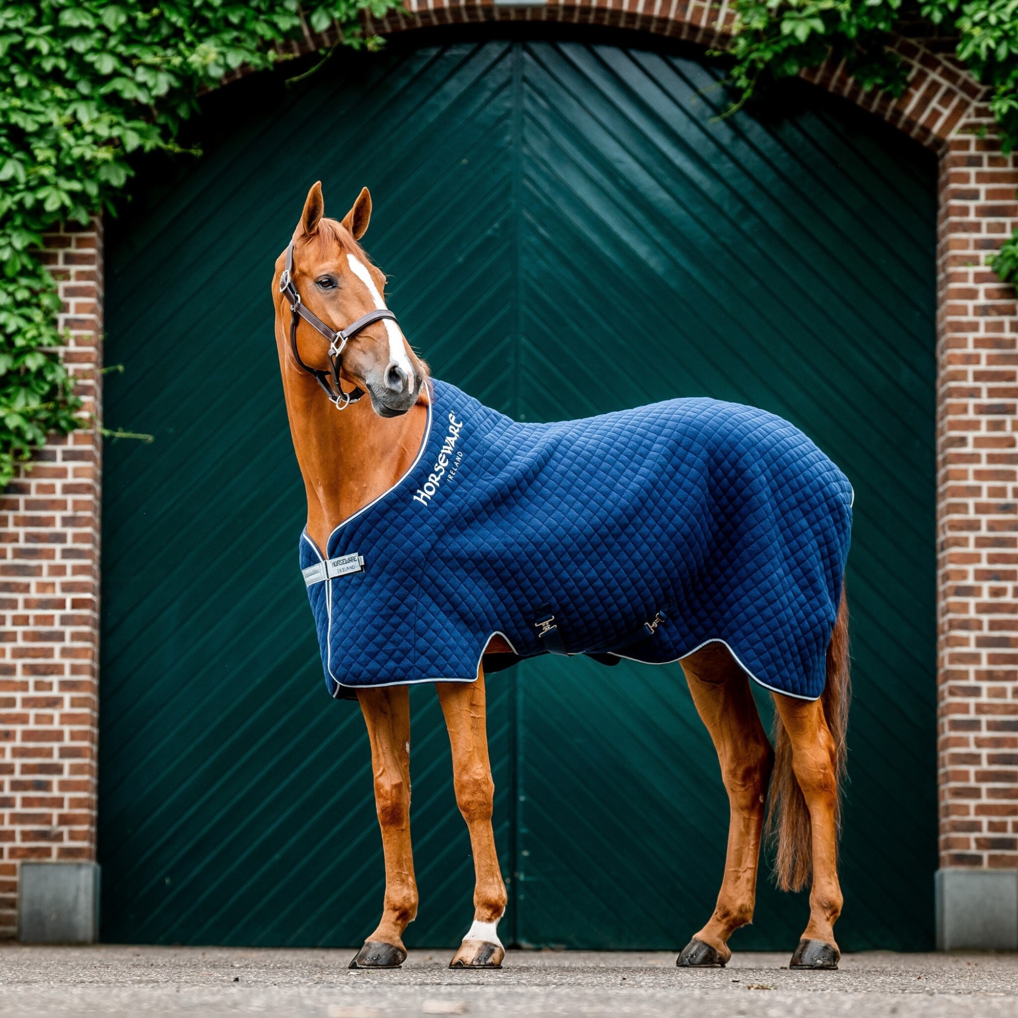 Thermal Cooler - Navy