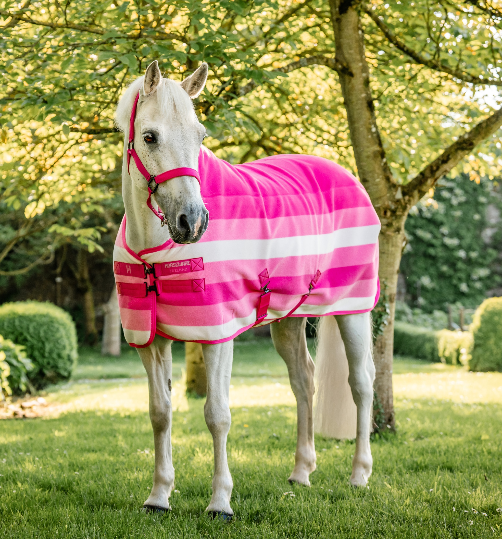 Newmarket Pony Fleece Cooler - Witney Pink
