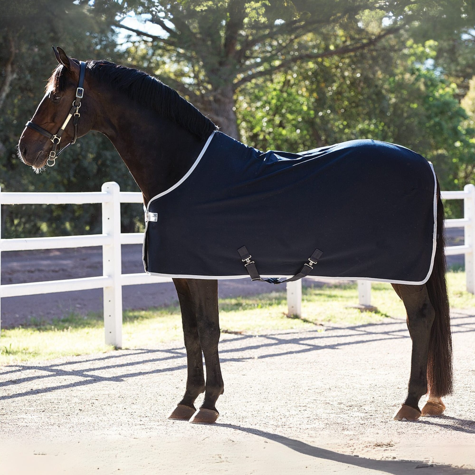 Amigo Jersey Cooler - Navy