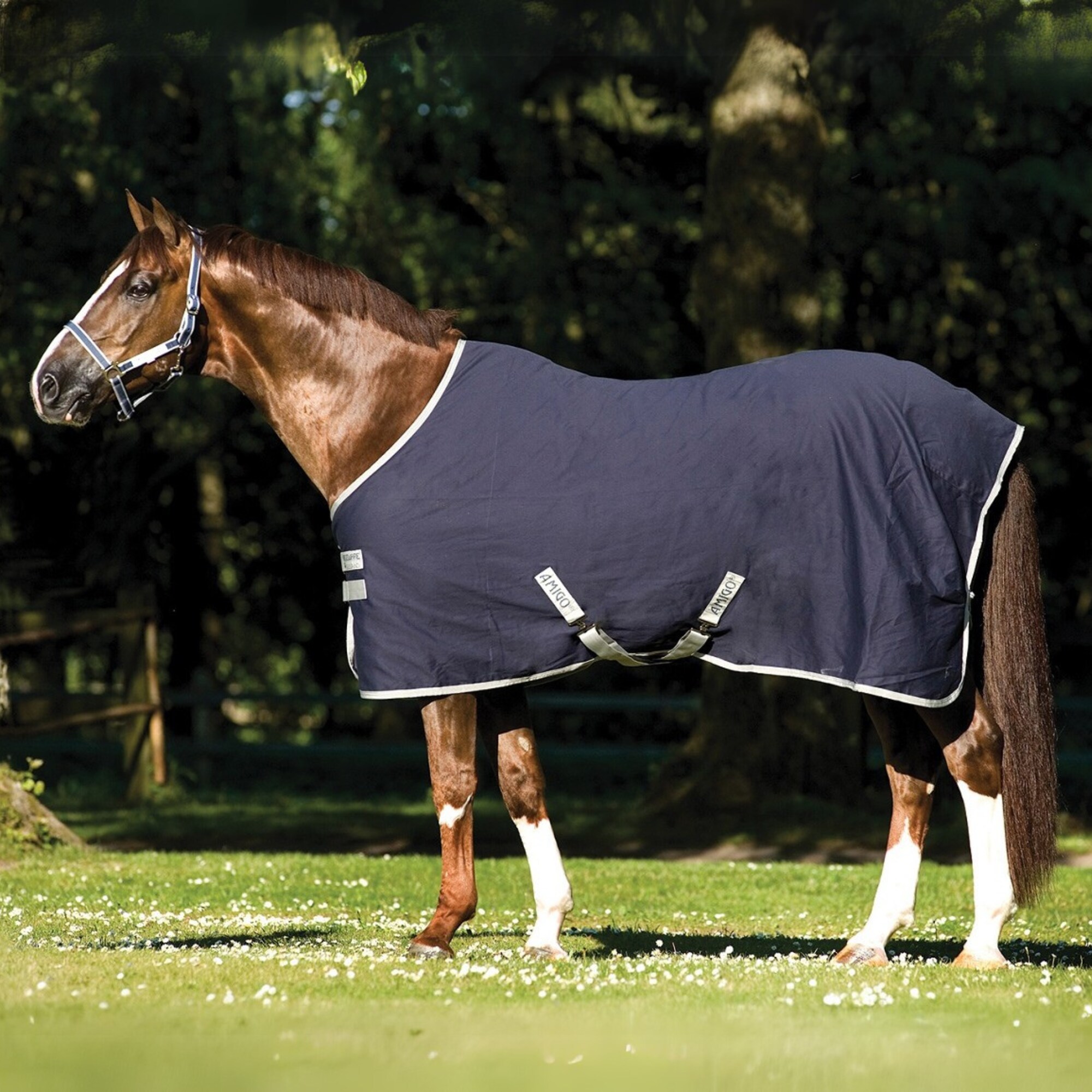 Amigo Stable Sheet - Navy/Silver