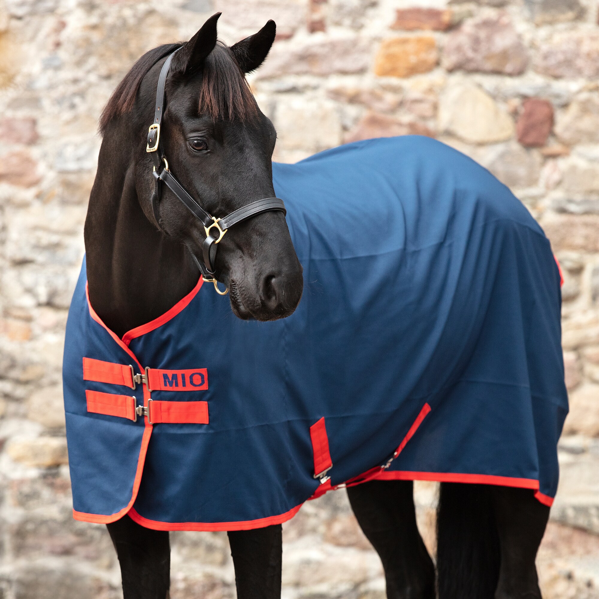 Mio Stable Sheet 0g - Navy/Red