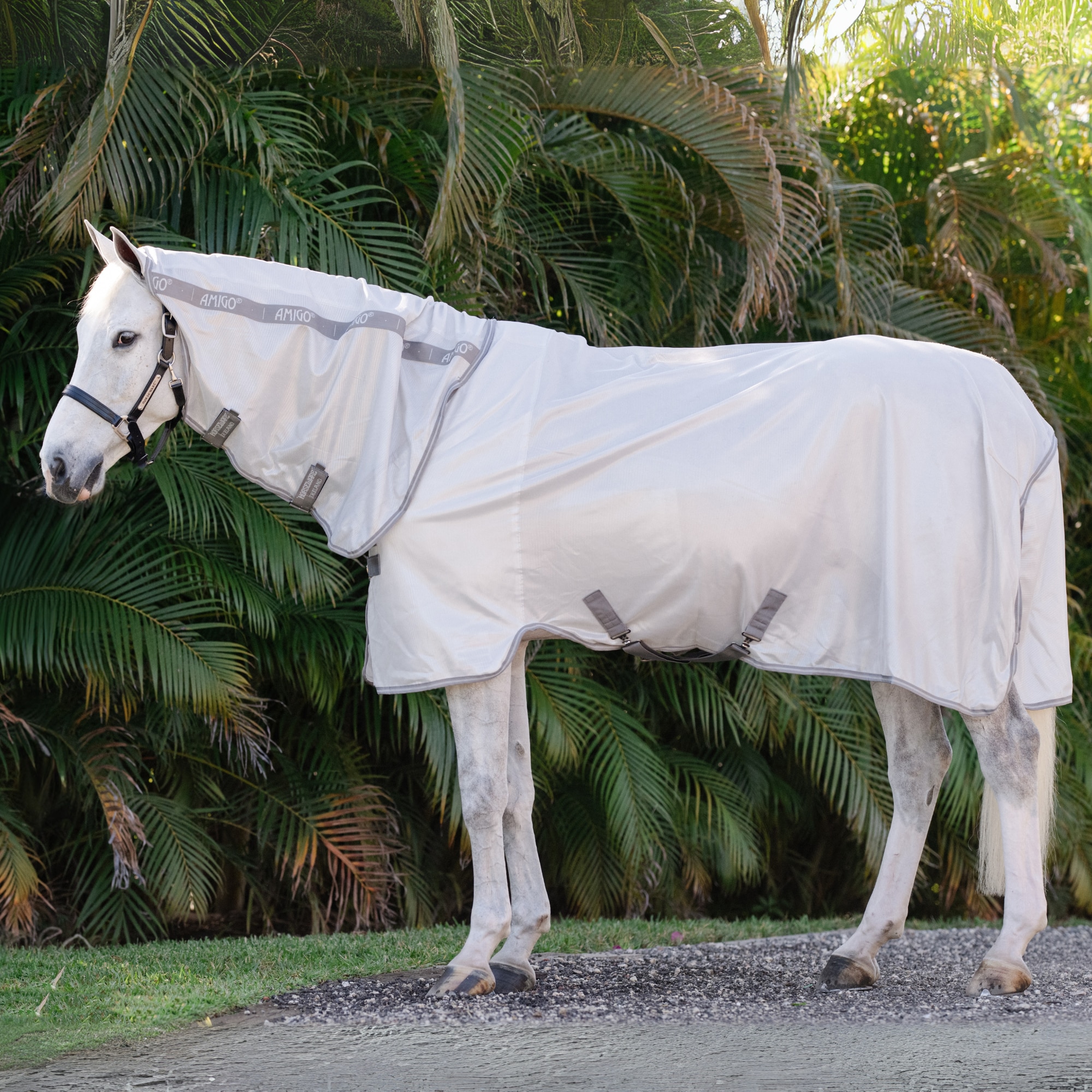 Amigo Integrated Fly Sheet - S