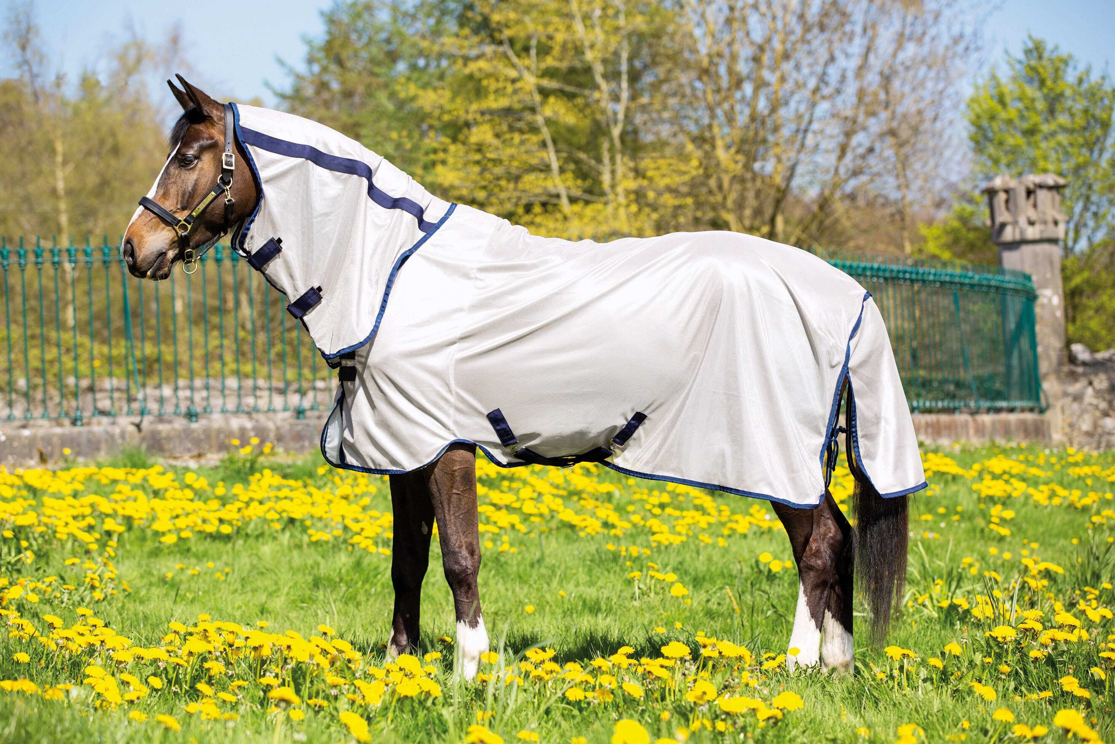 Mio Fly Rug - Bronze/Navy